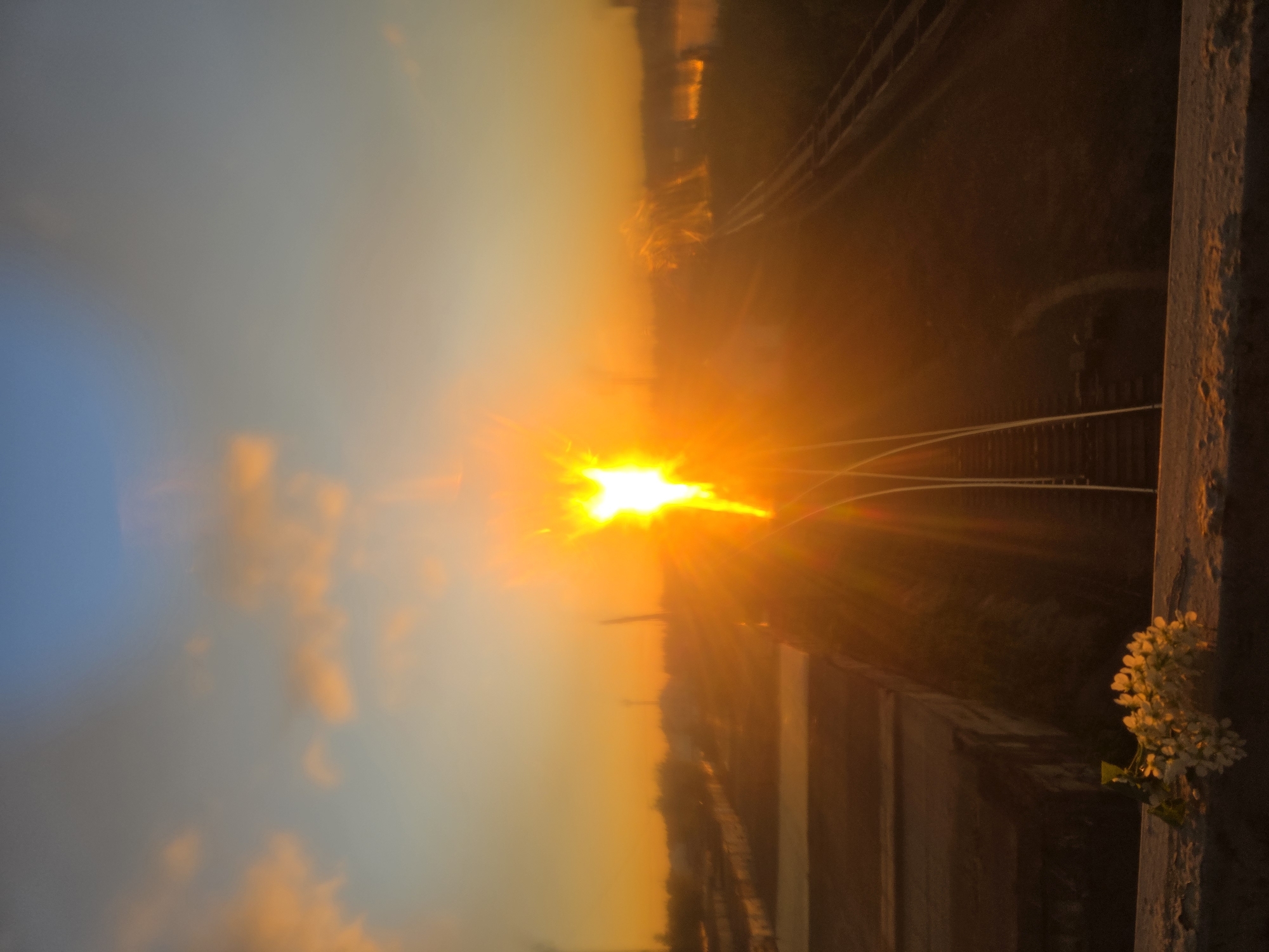 The image captures a vivid sunset in Chaikovsky, Russia. The sun, a bright orange, is situated in the center, casting long rays across the landscape. Below the sun, there is a train track. A clump of white flowers is visible on the right side of the image. The sky is a gradient of blue to orange, with some clouds.