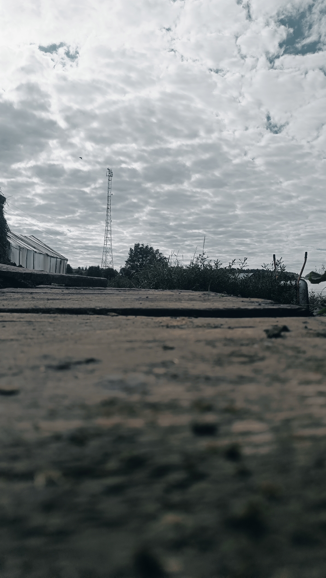 The image captures a low-angle view of a wooden surface in the foreground, with a communication tower visible in the mid-ground. To the left of the tower, a greenhouse-like structure is present. The background consists of trees and a body of water, with a cloudy sky overhead. The location is identified as Karsha, Russia. There are no people or animals visible in the scene. The overall impression is one of an outdoor, possibly rural, industrial or agricultural setting.