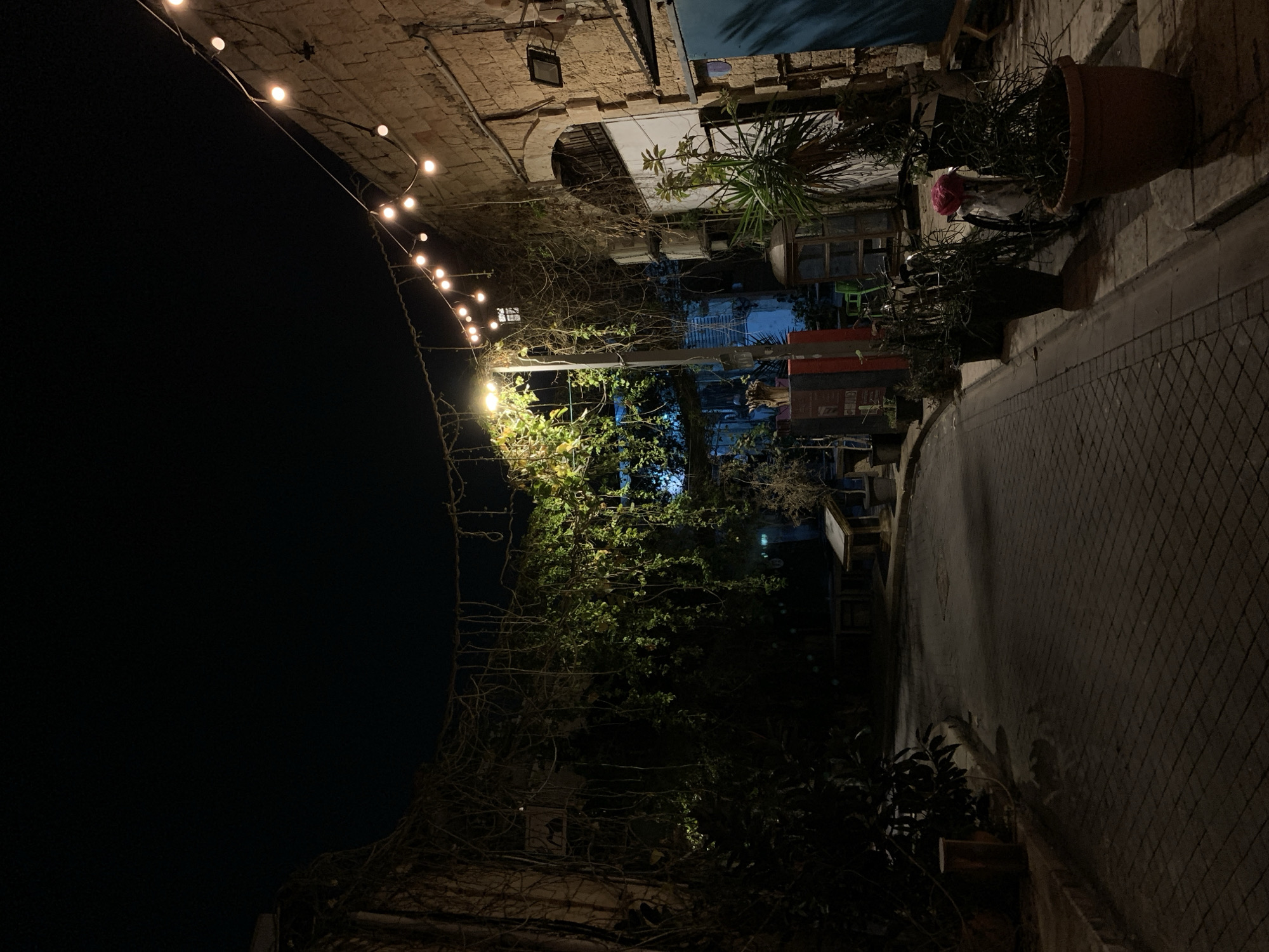 The image displays a dimly lit, narrow outdoor alleyway or street at night in Tel-Aviv, Israel. The overhead sky is dark black. The path, paved with dark, rectangular cobblestones or bricks, gently curves from the foreground towards the background.
Illumination is provided primarily by a central street lamp emitting a bright yellow-white light, which highlights dense green foliage and bare vines hanging from unseen overhead structures on the left side of the path. Further into the shadowed left background, indistinct wooden tables or benches are visible near a bright blue light source.
On the right, a building constructed of light brown stone blocks with visible mortar lines flanks the path. An arched opening in this wall appears to be covered or boarded, with a white building section directly beneath it. A string of approximately 15 warm-toned globe lights hangs diagonally from the upper right wall towards the center of the scene. The right edge of the path is lined with numerous potted plants in various containers, including terra cotta and dark pots, containing diverse vegetation from bushy to spindly. Among these, a white pole holds a prominent pink, rose-like decorative object. A black rectangular fixture is mounted on the stone wall, and a blue door or shutter is visible further along the building facade. No people are present in the scene.