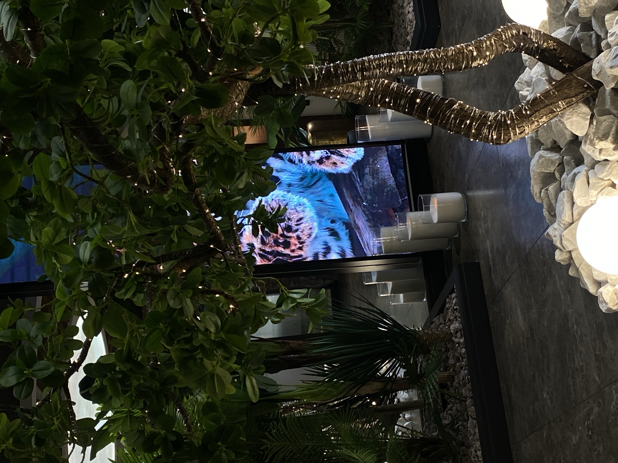 A dimly lit indoor scene features a television screen displaying a blue and brown patterned image, possibly a close-up of an animal. The screen is surrounded by lush green foliage, including what appear to be artificial trees with small decorative lights woven into the branches. The scene also includes cylindrical objects, possibly candles in glass holders, placed in a row. A rock wall and decorative tree branches are visible at the side of the screen. The location is not discernible from the image.