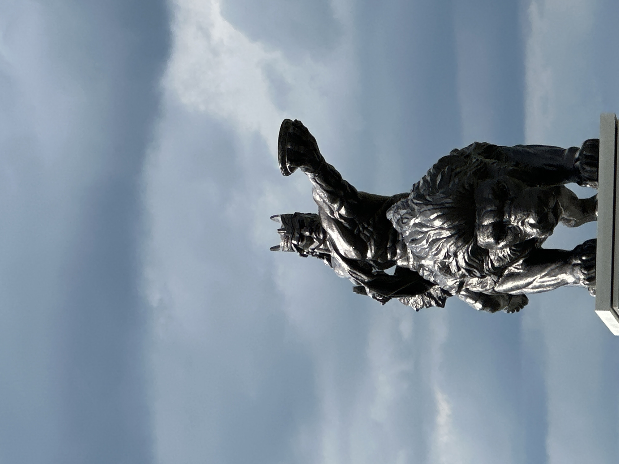 A low-angle, outdoor, vertical shot shows a dynamic, dark metallic sculpture against a cloudy sky. The sculpture depicts a muscular human figure wrestling with a lion. The human, facing left and partially obscured, has a helmet-like headpiece. Their left arm is raised and bent, while their right arm is extended downwards. One leg is bent, with the foot pointing towards the top of the frame, and the other leg is partially visible.
The lion is positioned to the right of the human, facing left, with its head lowered and mouth open, as if roaring or snarling. Its powerful body is muscular and detailed, with a prominent mane. The lion's front paws appear to be gripping the human. The sculpture is highly polished, reflecting the light from the sky.
To the far right, a portion of a white, rectangular structure is visible, possibly a pedestal or part of a building. The sky is filled with diffused light and large, soft clouds, suggesting either dawn or dusk, or an overcast day. There is no visible text in the image. The overall impression is one of intense struggle and power.