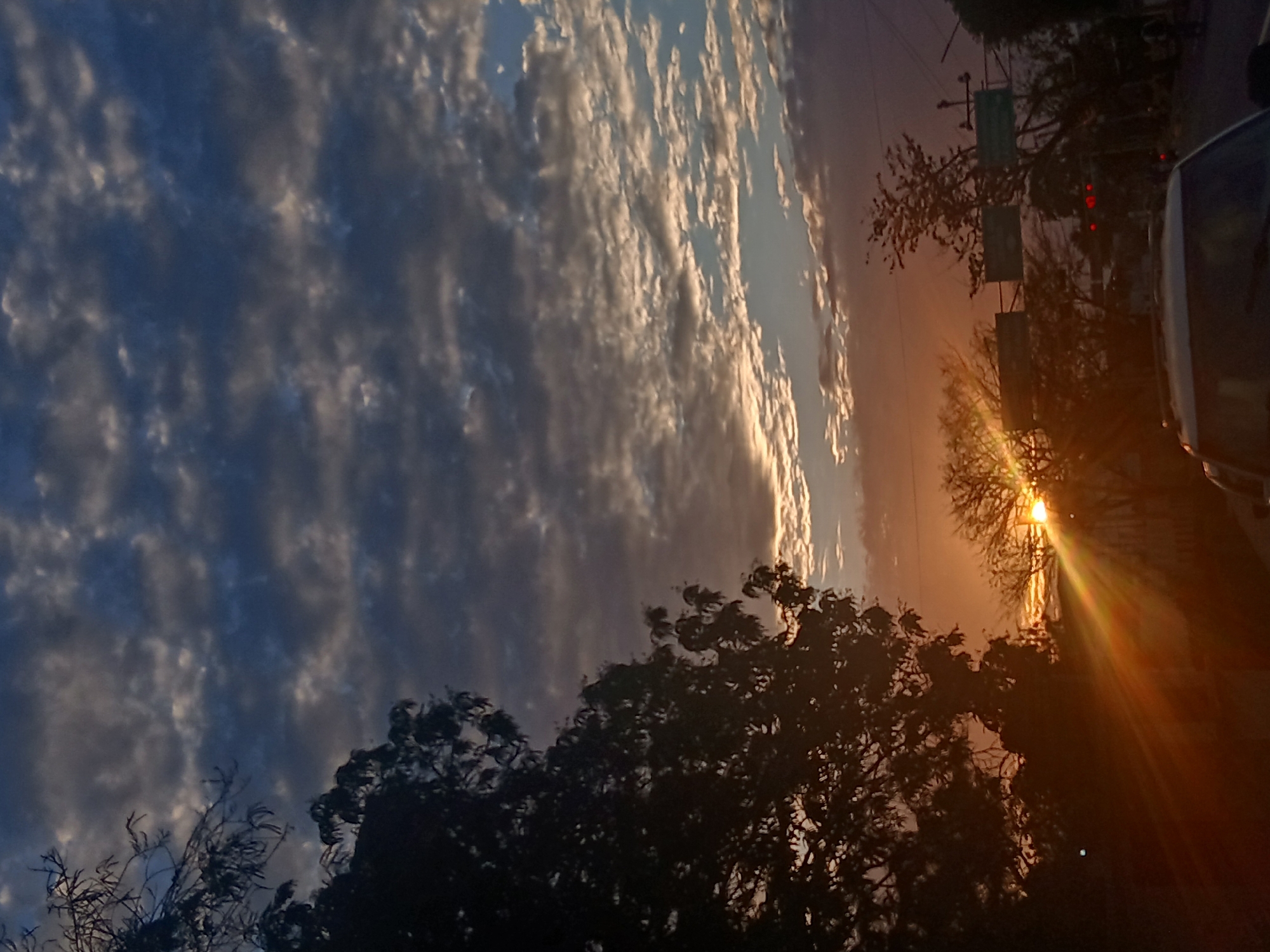 The image depicts a dramatic sunset in Juan Griego, Venezuela, with a sky filled with textured clouds ranging from dark blues and grays to bright whites and oranges where the sun is setting. The sun, partially obscured by tree branches and leaves, casts strong rays of light. A vehicle is partially visible on the right side of the frame. Utility poles with signage are also present. The foreground is dominated by silhouetted tree branches and foliage.