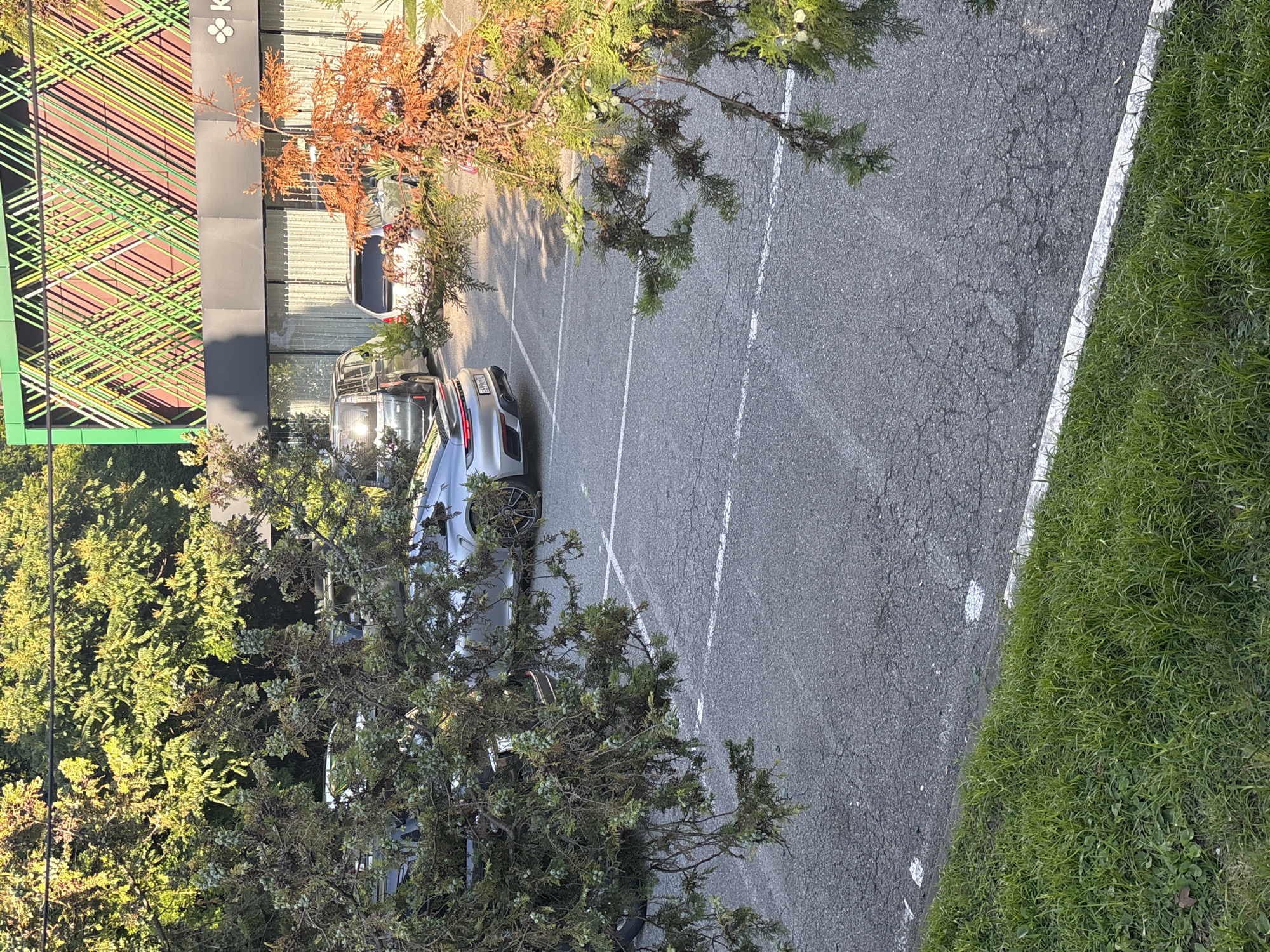 The image shows a parking lot with several cars, primarily in a silver or white color, parked in designated spots marked by white lines. One car, a silver sports car with distinctive yellow wheels, is prominently displayed in the foreground. The parking lot appears to be paved with asphalt and shows signs of wear and tear, with cracks and patches visible.
Flanking the parking lot are areas of lush green grass and trees. The trees are a mix of deciduous and coniferous types, with some showing autumnal colors, suggesting the image was taken in the fall. Sunlight filters through the trees, casting shadows on the parking lot, indicating it is likely daytime.
In the background, a modern building with a distinctive facade featuring a pattern of green, yellow, and red diagonal lines is visible. Above the facade, the building's name or logo includes the Cyrillic letter "K" and a four-petal flower symbol. The setting appears to be an urban or suburban area, possibly a commercial or residential complex, given the presence of the building and parking lot.
No people are visible in the image. The overall atmosphere is peaceful and static, with no specific activity taking place beyond the cars being parked. The location context of Sochi, Russia, suggests this could be a public parking area or part of a commercial establishment in that region.