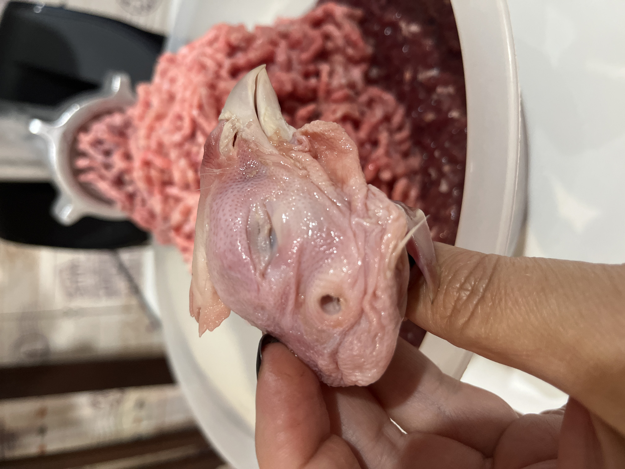 A close-up shot captures a person's fingers holding a processed chicken head. The chicken's head is pink and slightly translucent, with visible skin texture and a closed eye. A small hole is present on the side of the head. In the background, a pile of ground meat is visible, along with a meat grinder. The setting appears to be a kitchen, with a white bowl and other indistinct elements in the background. The image does not provide any specific details about the location in Chaikovsky, Russia.