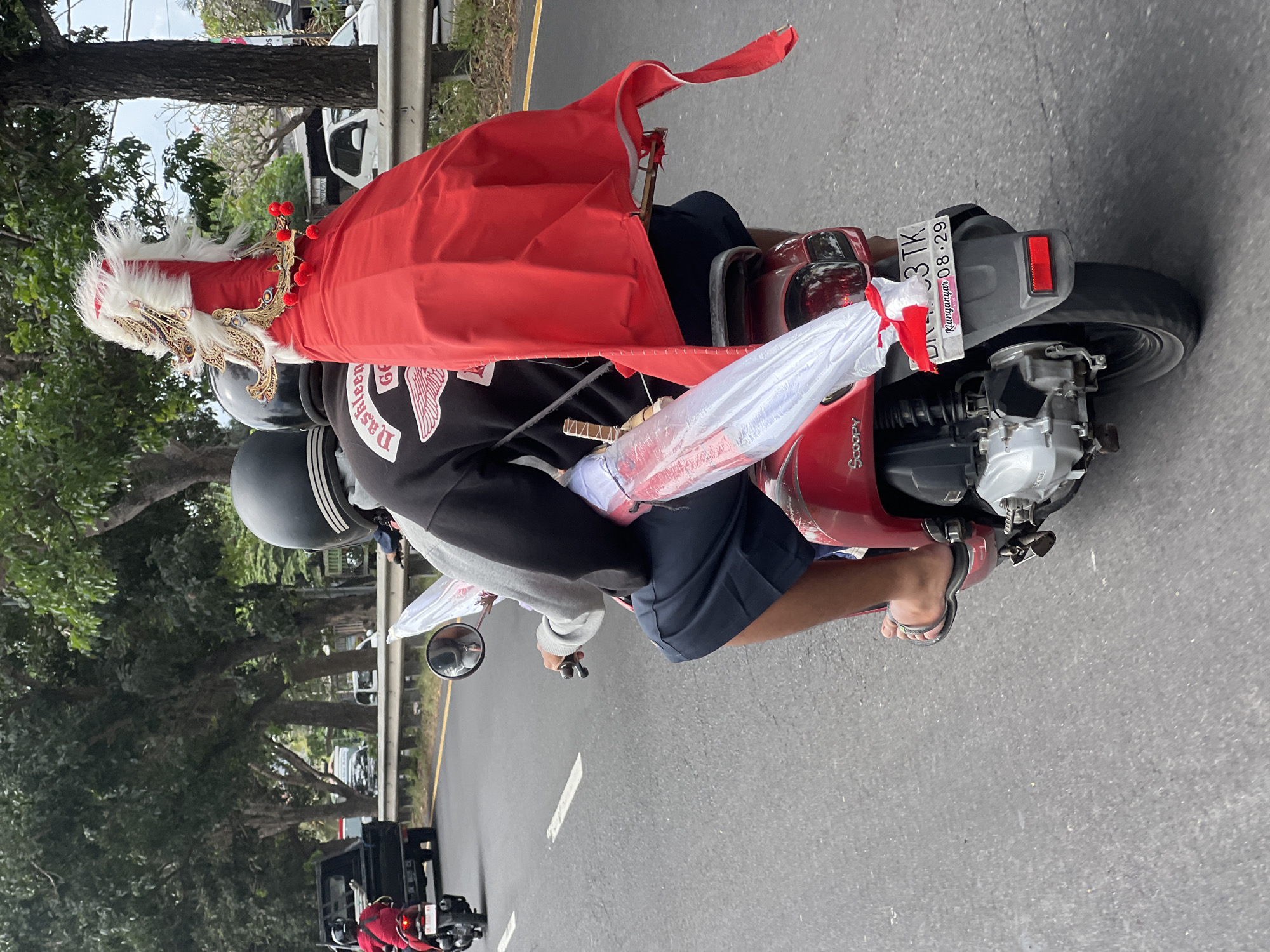 The image captures two people riding a red Honda Scoopy motorcycle on a paved road in Sukawati, Indonesia. The person in the back is wearing a black sweatshirt with a white wing logo that says "Dashleen". They are holding a large, ornate red and white headdress adorned with gold accents and red pom-poms, possibly for a ceremony or festival. A white umbrella, possibly wrapped in plastic, is also secured to the motorcycle. The license plate reads "DK 4533 TK" with "Karanganyar 08-29" below it. Trees line the side of the road, and other vehicles, including a black truck and white cars, are visible in the background. The overall scene suggests a vibrant and active street in Sukawati.
