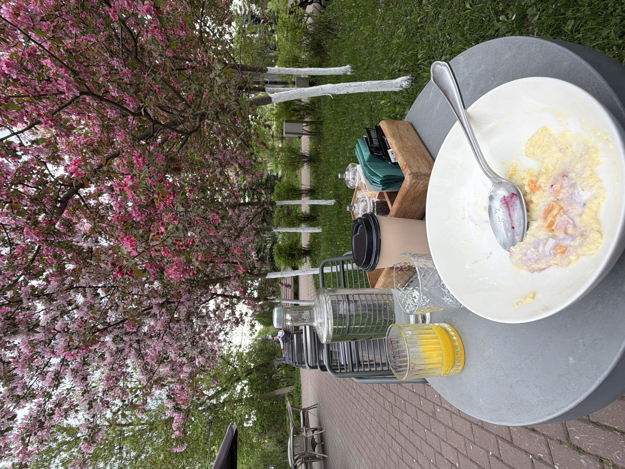 The image depicts an outdoor dining scene, likely in the city of Khimki, Russia. A round gray table holds remnants of a meal: a mostly-eaten bowl of what appears to be oatmeal with fruit, and a spoon resting on the plate. Next to the plate is a glass of orange juice, a clear glass, a travel mug, and condiments in a wooden caddy. The table is positioned on a brick walkway, adjacent to a grassy area with trees. One tree is covered in bright pink blossoms. White-painted tree trunks are visible in the background. Benches and chairs are nearby, suggesting an outdoor cafe or park setting. In the background, a person is seated on a bench.