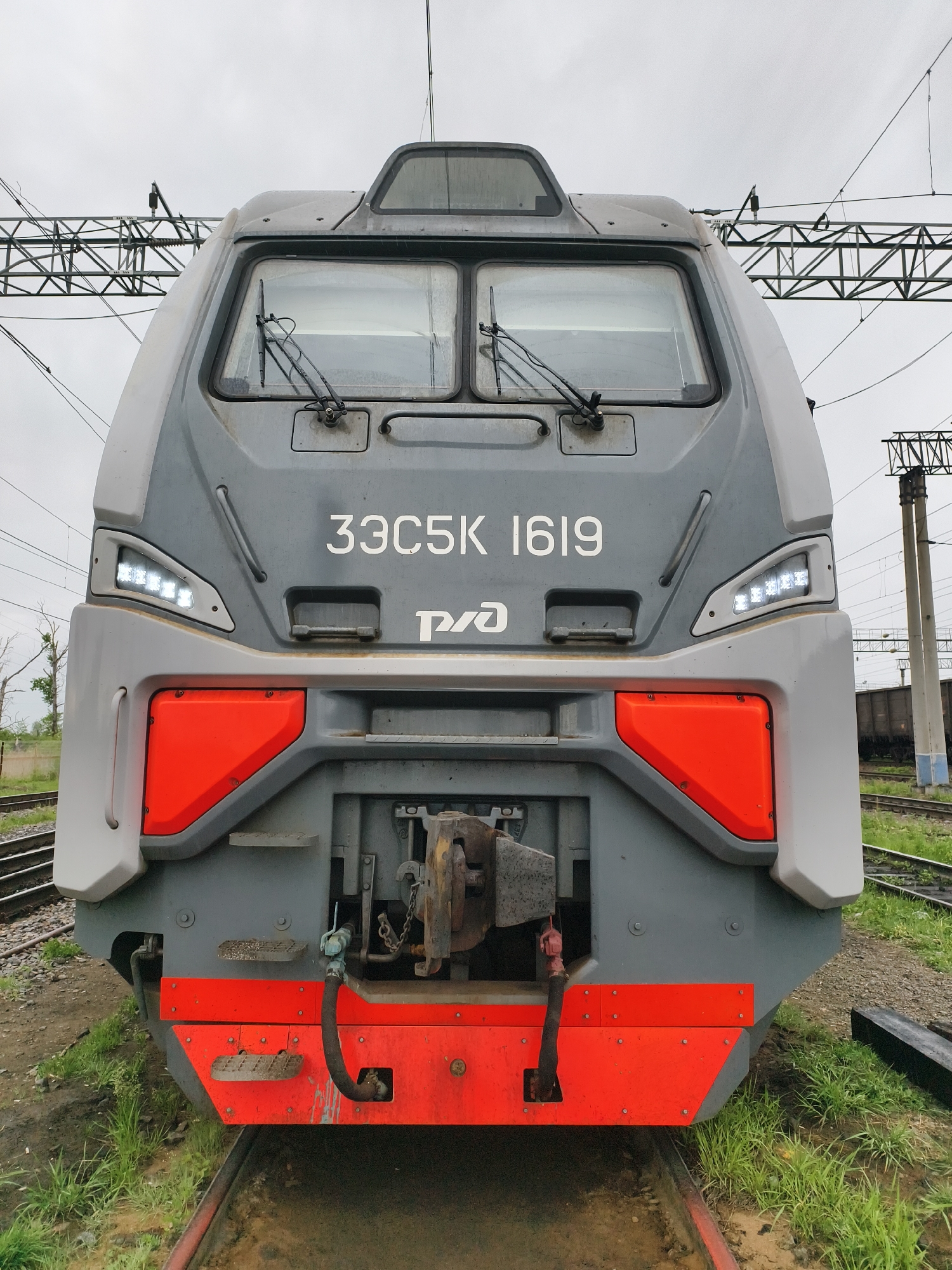 The image presents a head-on view of a modern, gray and light gray locomotive with prominent bright orange-red accents, standing stationary on railway tracks. The front of the train features a sleek, somewhat aerodynamic design. Two large, rectangular windshields dominate the upper section, each equipped with a single windshield wiper.
Visible text on the locomotive's front includes "33C5K 1619" (written as ЗЗС5К 1619 in Cyrillic) and the "РЖД" logo, which stands for Russian Railways. Bright LED headlights, arranged in two distinct clusters of small, illuminated squares, are active on both sides of the train's nose. Below these, large orange-red panels form part of the lower front structure.
At the very bottom, a robust red/orange bumper spans the width, with small steps or footrests visible on either side. A heavy-duty metal coupler and buffer mechanism is centrally located, accompanied by various hoses, chains, and connectors, including what appears to be an air hose.
The setting is an outdoor railway environment, likely a yard or siding. Train tracks are visible in the foreground and extend into the background. The ground is a mix of green grass and muddy patches, suggesting damp conditions. Overhead, a complex network of electrical catenary wires and metal support gantries spans the sky, indicating an electrified railway line. A tall utility pole with crossbeams is visible on the right side of the frame, and a glimpse of another train car or structure can be seen further back on the right. The sky is overcast, providing soft, diffused lighting, consistent with a cloudy daytime scene.