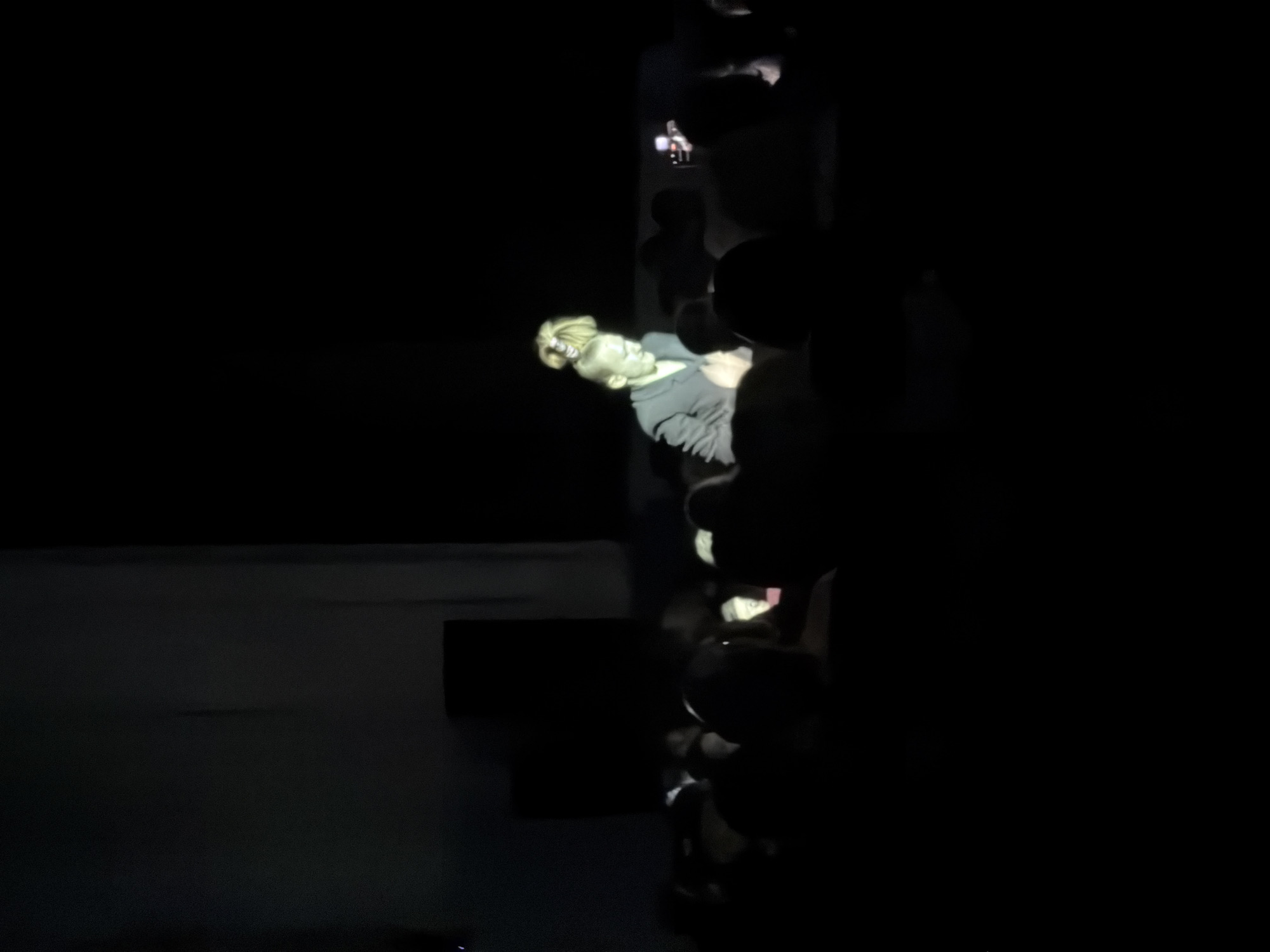 This image captures a dramatically lit scene in a dark environment, likely an indoor venue at night or in a performance setting. The photograph is rotated 90 degrees clockwise from its natural orientation.
The primary subject is a brightly illuminated person, possibly a speaker, performer, or a realistic bust/statue, positioned to the left (when viewed upright). This figure has light-colored hair and is wearing a dark garment. Their face is visible, appearing to be an adult, and they seem to be looking slightly upwards and to the side.
To the right of this central figure, numerous dark silhouettes are visible, suggesting a crowd or audience. Small points of light, likely from mobile phones or other electronic devices, dot these dark shapes, indicating audience engagement or recording.
The scene is characterized by extreme contrast due to highly focused artificial lighting. A strong spotlight directly illuminates the main subject, making them stand out against the deep shadows that envelop the rest of the environment. A dark, rectangular object is faintly visible in the lower-left corner (if the image were upright), possibly part of a stage or platform.
The event appears to be a presentation, performance, or viewing of an exhibit where a central element is highlighted for an audience. The setting is likely a theater, lecture hall, or art space in Perm, Russia. No visible text is present in the image.