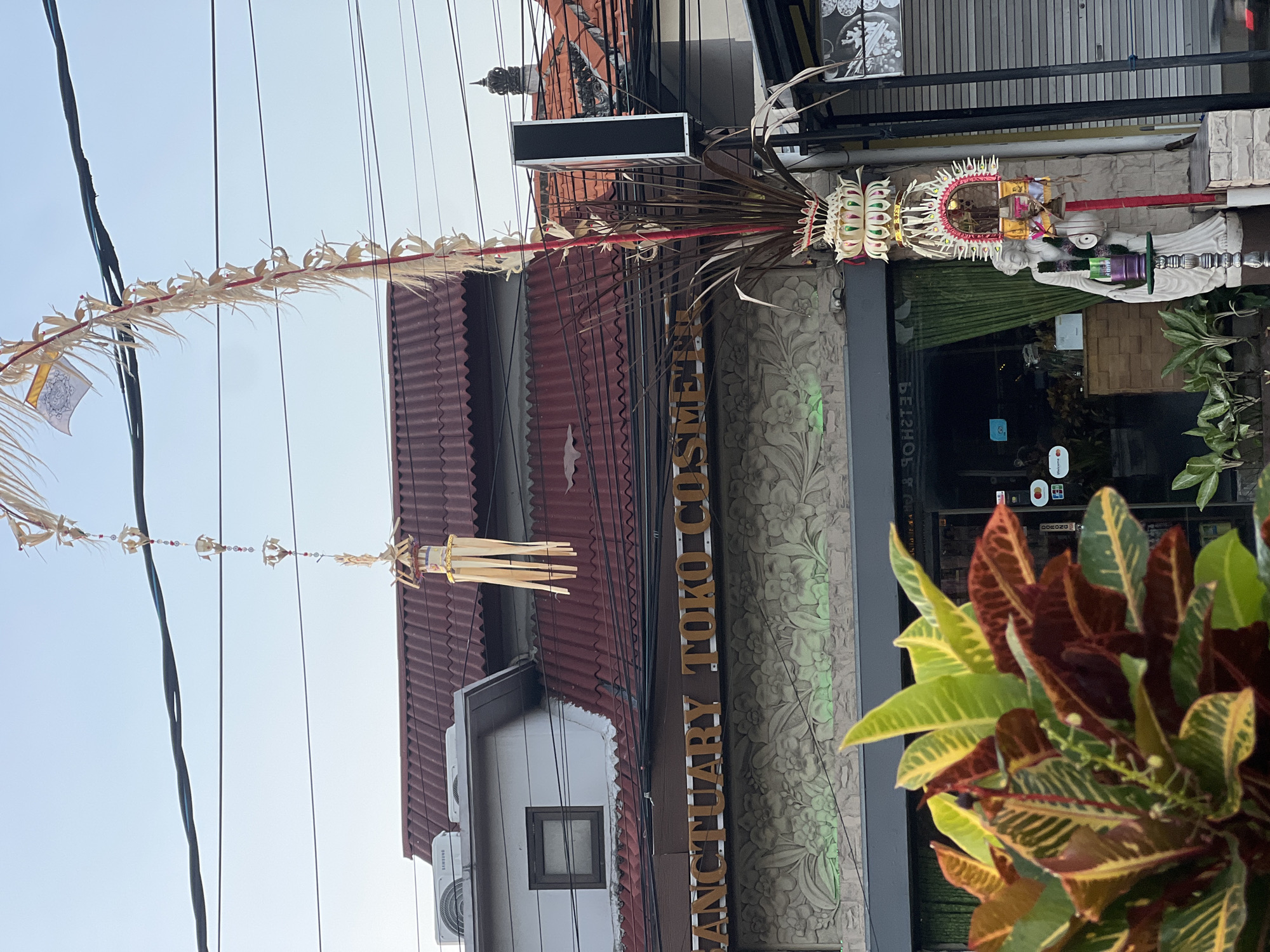 This image depicts a street scene in Denpasar, Indonesia, likely during the daytime with clear skies. The focus is on the exterior of a building, featuring a sign that reads "SANCTUARY TOKO COSMETICS".
The building itself has a reddish-brown tiled roof and a facade with intricate floral carvings that are subtly illuminated. In front of the building, there are various decorative elements, including a tall, elaborate structure with white and green woven adornments, possibly a religious or ceremonial offering. Strung across electrical wires above are delicate, dried palm leaf decorations, a common sight in Bali.
The scene includes several electrical wires crisscrossing the frame, indicating an urban or semi-urban environment. A lush, vibrantly colored plant with leaves in shades of green, yellow, and deep red is in the foreground, adding a touch of nature to the architectural and decorative elements. The overall impression is of a vibrant, culturally rich setting, possibly related to a business or a local event. There is no visible activity of people in the image.