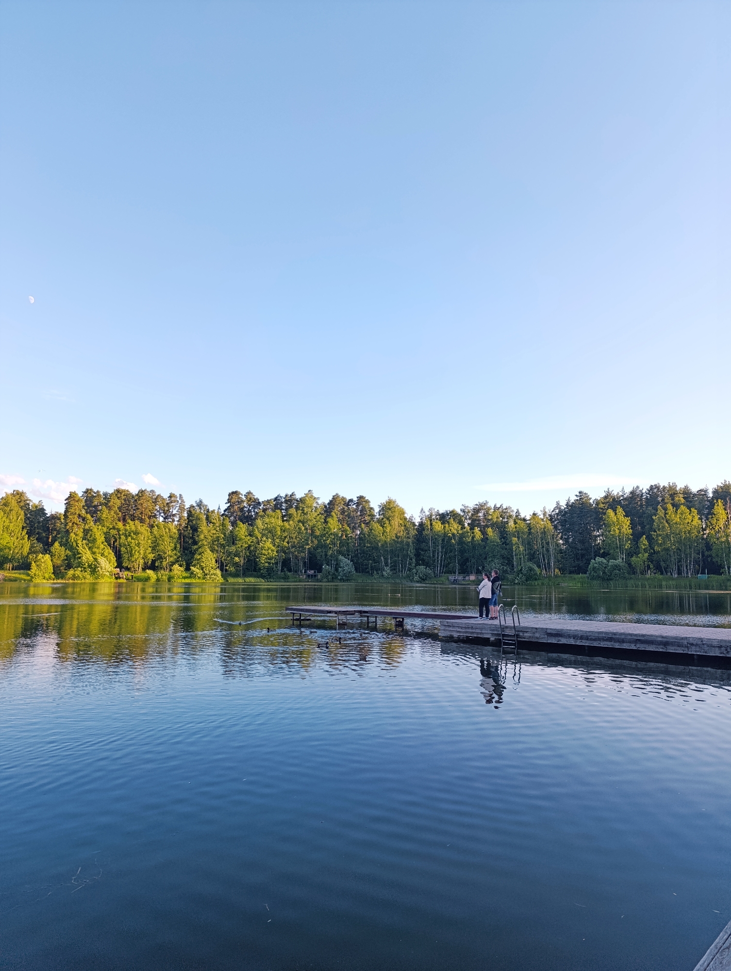 A serene daytime scene unfolds at a lake in Chernogolovka, Russia. The clear blue sky, lightly streaked with wisps of white cloud, suggests fair weather. In the distance, a dense forest lines the far bank of the lake, with trees in vibrant shades of green, indicating it is likely summer. The water's surface is calm, reflecting the trees and the sky, with gentle ripples creating a shimmering effect.
A wooden pier extends into the water from the right side of the frame. On the pier, two individuals stand side-by-side, appearing to be enjoying the view or perhaps engaged in conversation. Their silhouettes are cast onto the water, adding depth to the scene. To the left of the pier, several dark shapes in the water suggest the presence of ducks.
Further to the left, on the far side of the lake and closer to the tree line, there's a glimpse of what appears to be a small wooden structure, possibly a boathouse or a cabin. High in the sky, a sliver of the moon is visible, a subtle reminder of the time of day. The overall mood of the image is peaceful and tranquil, capturing a moment of quiet appreciation for nature. There is no visible text in the image.