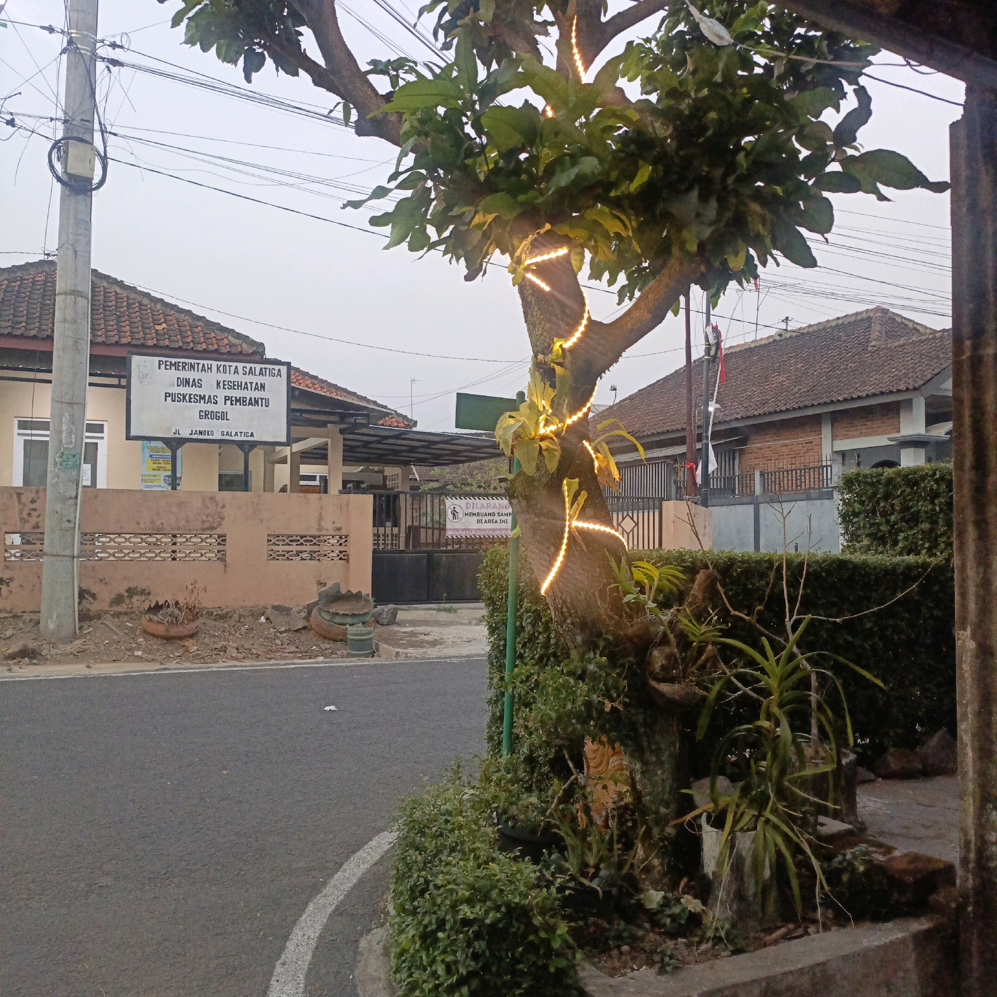 The image depicts a street scene in Salatiga, Indonesia, with a focus on the PUSKESMAS PEMBANTU Grogol building and its surroundings. The building, identified by a sign that reads "PEMERINTAH KOTA SALATIGA DINAS KESEHATAN PUSKESMAS PEMBANTU Grogol" and "JL. JANOKO SALATIGA," appears to be a public health center. It is a single-story structure with a tiled roof, a light-colored facade, and a covered walkway supported by columns. A fence with decorative openings runs along the front of the property.
In the foreground, a tree is prominent, decorated with yellow string lights that spiral around its trunk and branches. This tree is surrounded by various plants, including some that appear to be orchids. A paved road with a white line marking is visible in front of the building and tree. Power lines and a concrete utility pole are also present in the scene. The sky is overcast, suggesting either early morning or late afternoon. There are no people visible in the image. The overall impression is one of a quiet, possibly residential or semi-commercial area in Salatiga.