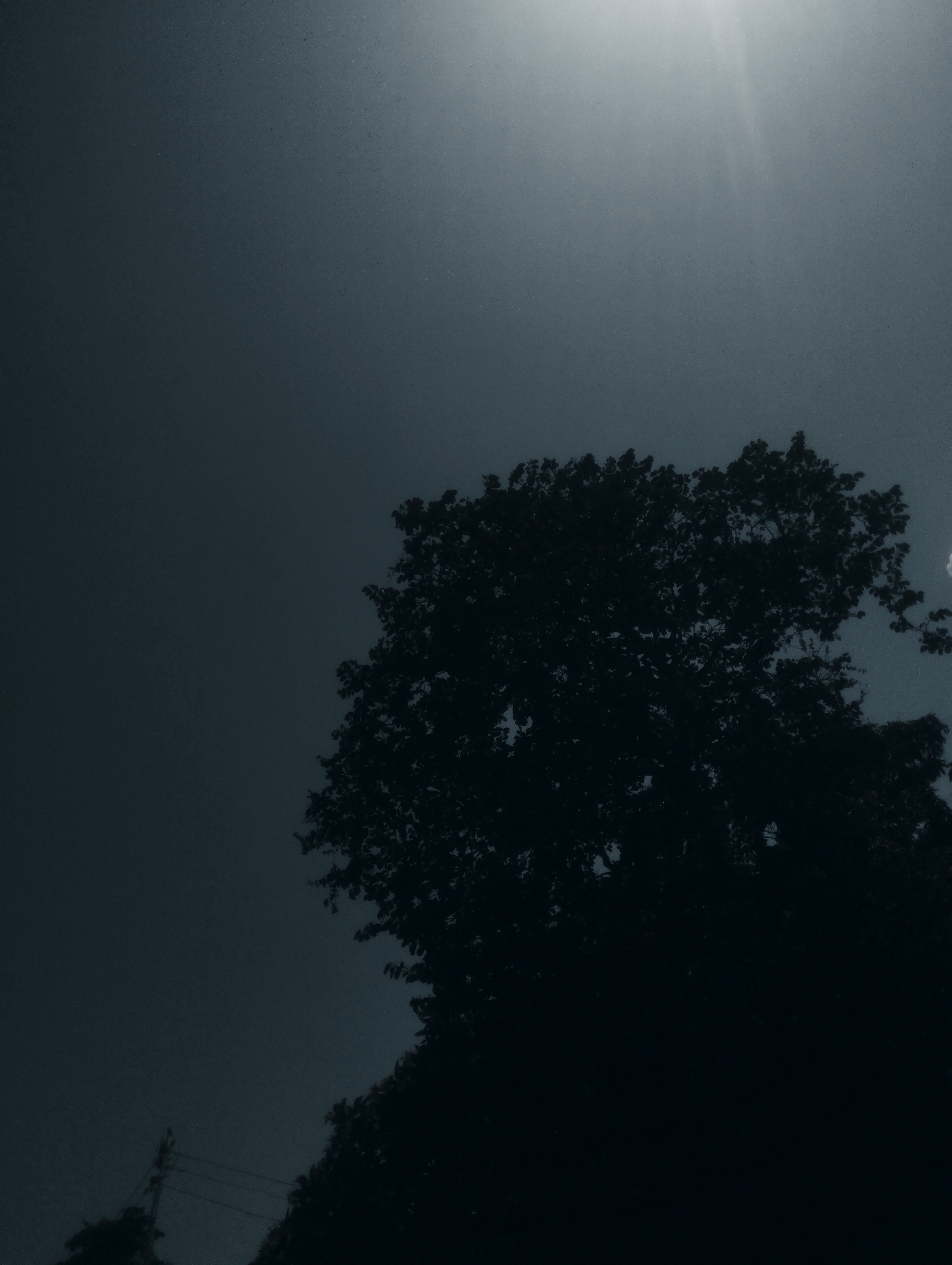 This media file is a photograph taken from a low angle, looking upwards towards a silhouetted tree against a hazy, bright sky. The scene appears to be outdoors, with the silhouette of a large tree dominating the right side of the frame. Its branches and leaves are visible, creating a dense, dark mass against the lighter background. In the upper right quadrant of the image, there is a bright light source, possibly the sun, with rays of light emanating downwards. The sky is a muted, dark blue or grey, with a grainy texture, suggesting it might be overcast, foggy, or perhaps the image has a digital noise filter applied.
Towards the bottom left of the image, the silhouette of what appears to be a utility pole with wires can be seen, indicating an urban or semi-urban setting. The overall mood of the image is somewhat somber and atmospheric, likely due to the dark tones and the hazy light. The time of day is not explicitly clear, but the bright light source and haze could suggest either early morning or late afternoon. There is no discernible weather activity, beyond the hazy sky. No people are visible in the photograph. The location context of Jos, Nigeria is provided, but there are no specific visual cues within the image that definitively pinpoint this location, beyond the general impression of a tree in a developed area. There is no visible text in the image.