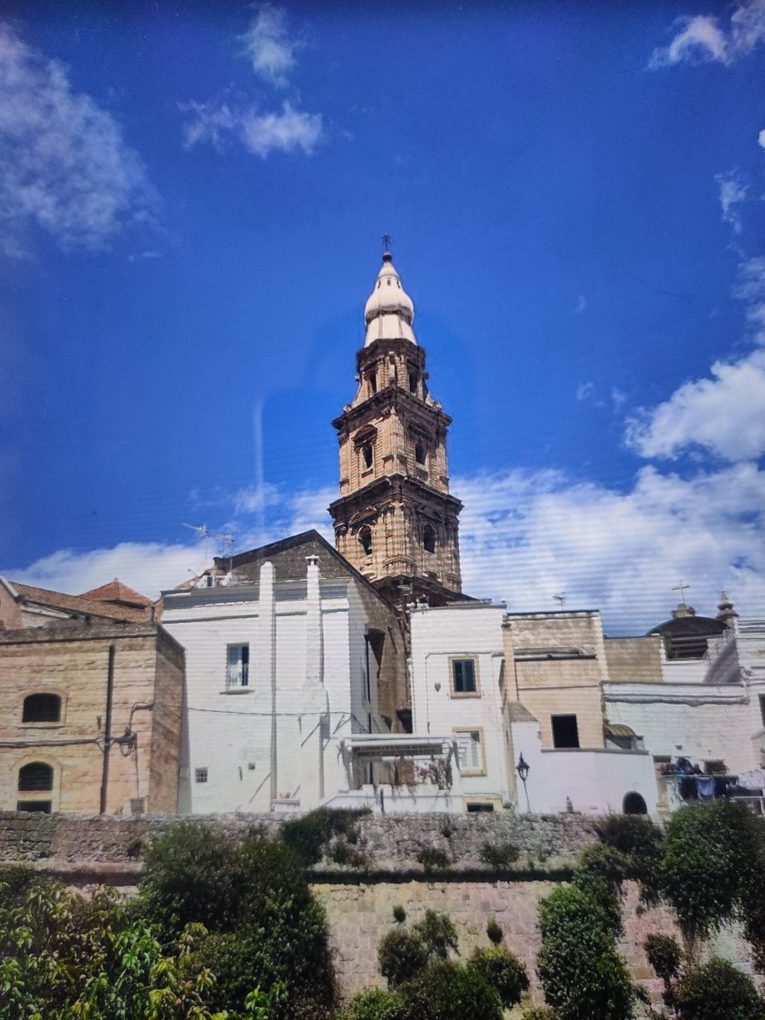 The image captures a view of a historic church tower and adjacent buildings under a bright blue sky with scattered clouds. The church tower, made of brick, features multiple levels with arched windows and ornate architectural details. The buildings in the foreground are a mix of light-colored plaster and stone, with windows of various sizes. Lush green vegetation grows along a stone wall in the lower part of the frame, creating a natural barrier between the buildings and the foreground. The scene is bathed in sunlight, casting shadows and highlighting the textures of the architecture and vegetation. The image does not show any people or specific actions. There is no identifiable information within the image suggesting the location is Zrenjanin, Serbia.