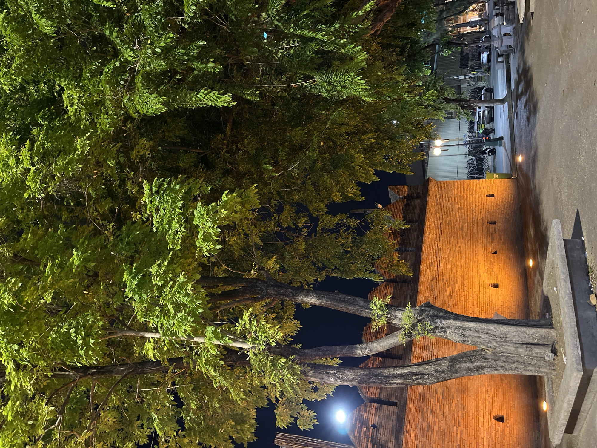 The image depicts a night scene in Chiang Mai City Municipality, Thailand. A large tree with dense green foliage dominates the left side of the frame. To the right, there is a brick wall illuminated by warm light. In the distance, a street scene is visible with parked vehicles, streetlights, and a building with graffiti.