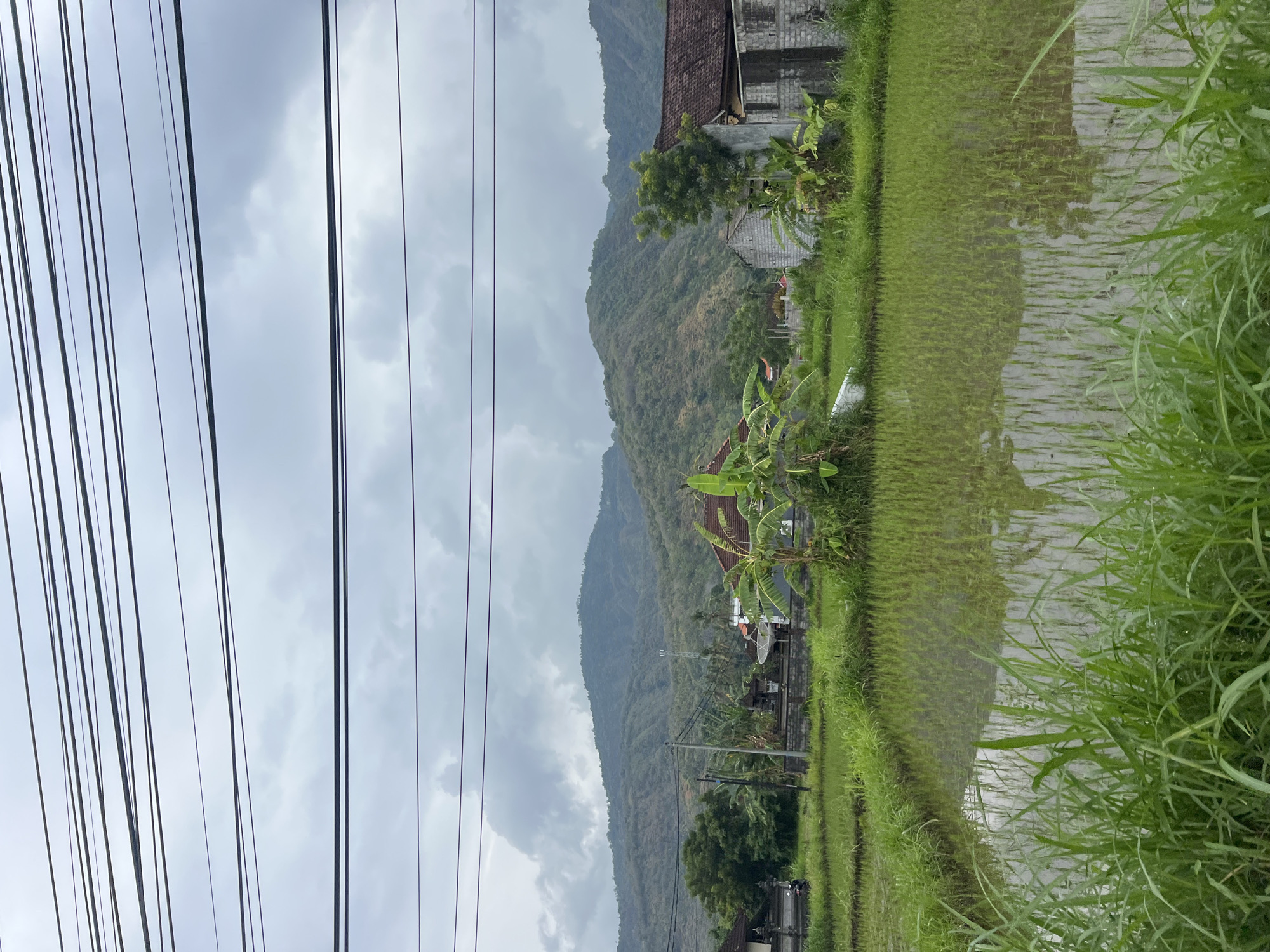 The image depicts a rural landscape in Abang, Indonesia, characterized by lush green rice paddies and rolling hills under a cloudy sky. In the foreground, a section of a flooded rice field is visible, reflecting the overcast heavens and the surrounding greenery. Tall, vibrant green grass lines the edge of the rice field, obscuring the lower part of the scene.
Beyond the rice paddies, several houses and structures are scattered across the landscape. One prominent building features a red tiled roof and a light-colored, unfinished brick facade. To its left, another house with a tiled roof is partially visible. A banana tree with large, broad leaves stands near the center of the image, adding a tropical element. Further back, the terrain rises into verdant hills, their slopes dotted with vegetation. A single cell tower is visible on one of the hills in the distance. Overhead, a network of power lines stretches across the frame, silhouetted against the cloudy sky. The overall impression is one of a tranquil, agricultural environment.