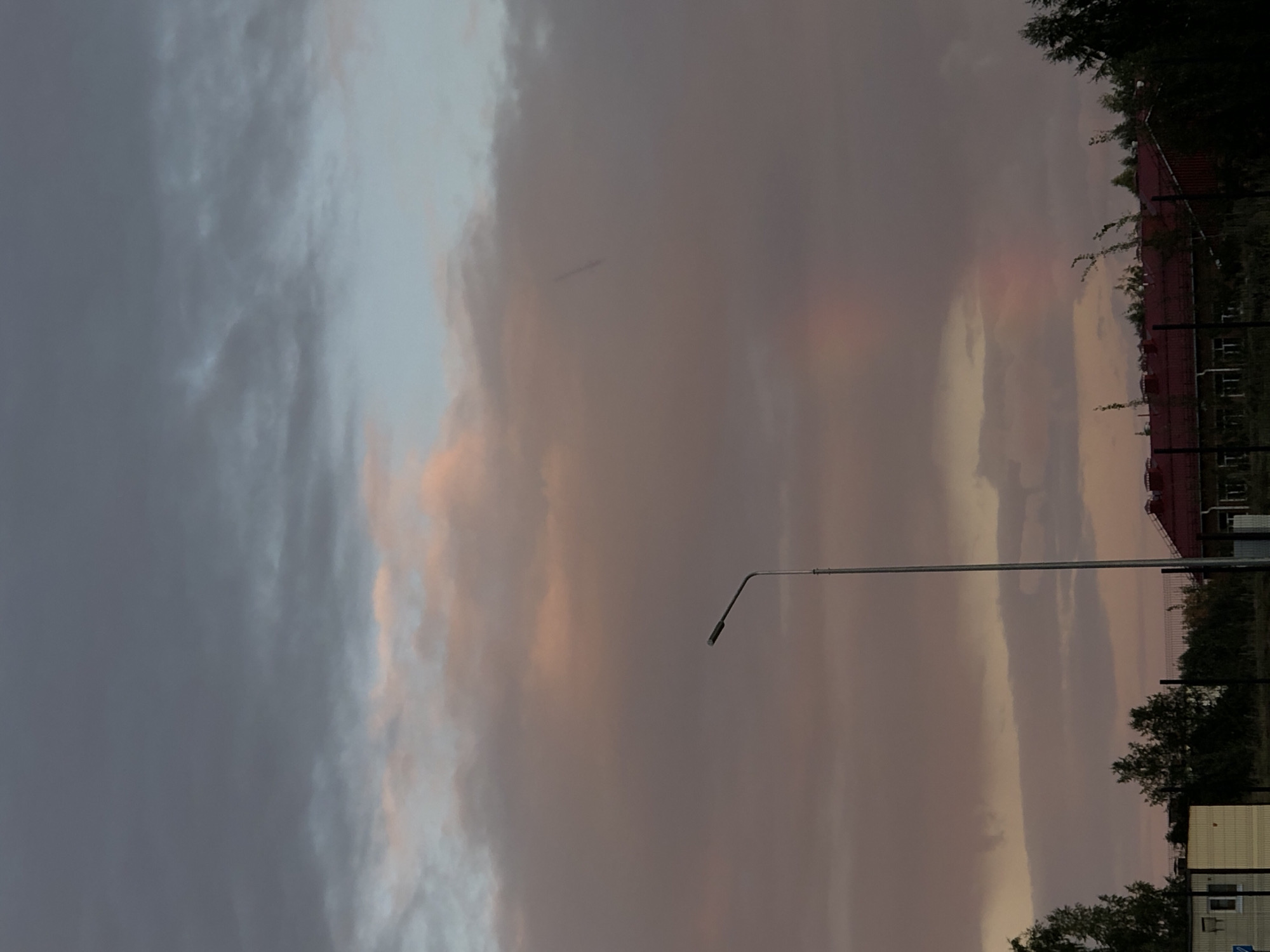 The image captures a dusky sky over Noviy, Russia, dominated by soft, diffused clouds tinged with pink and gray hues. A solitary, slender streetlamp stands in the center-left of the frame, its dark silhouette sharply contrasting against the ethereal sky. In the background, a line of trees with dark green foliage partially obscures a building with a distinctive red tiled roof. The lower portion of the image reveals a glimpse of a fence and a small, light-colored structure, possibly a utility building, hinting at an urban or semi-urban environment. The overall atmosphere is tranquil and serene, suggesting the end of a day.