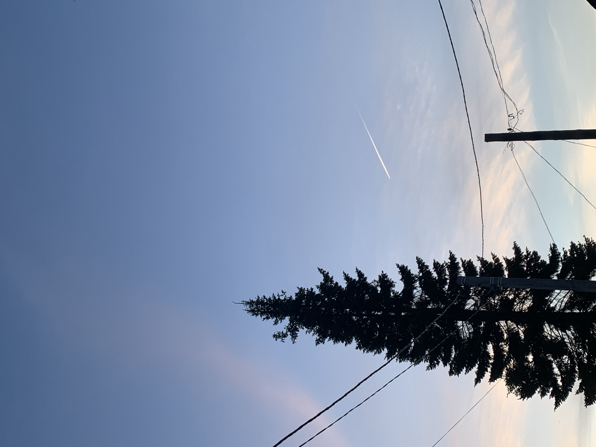 A landscape image taken in Фоки, Russia shows a blue sky with a contrail, a tall evergreen tree, and a utility pole with wires. The tree is silhouetted against the sky, and the pole with wires stretches across the right side of the frame.