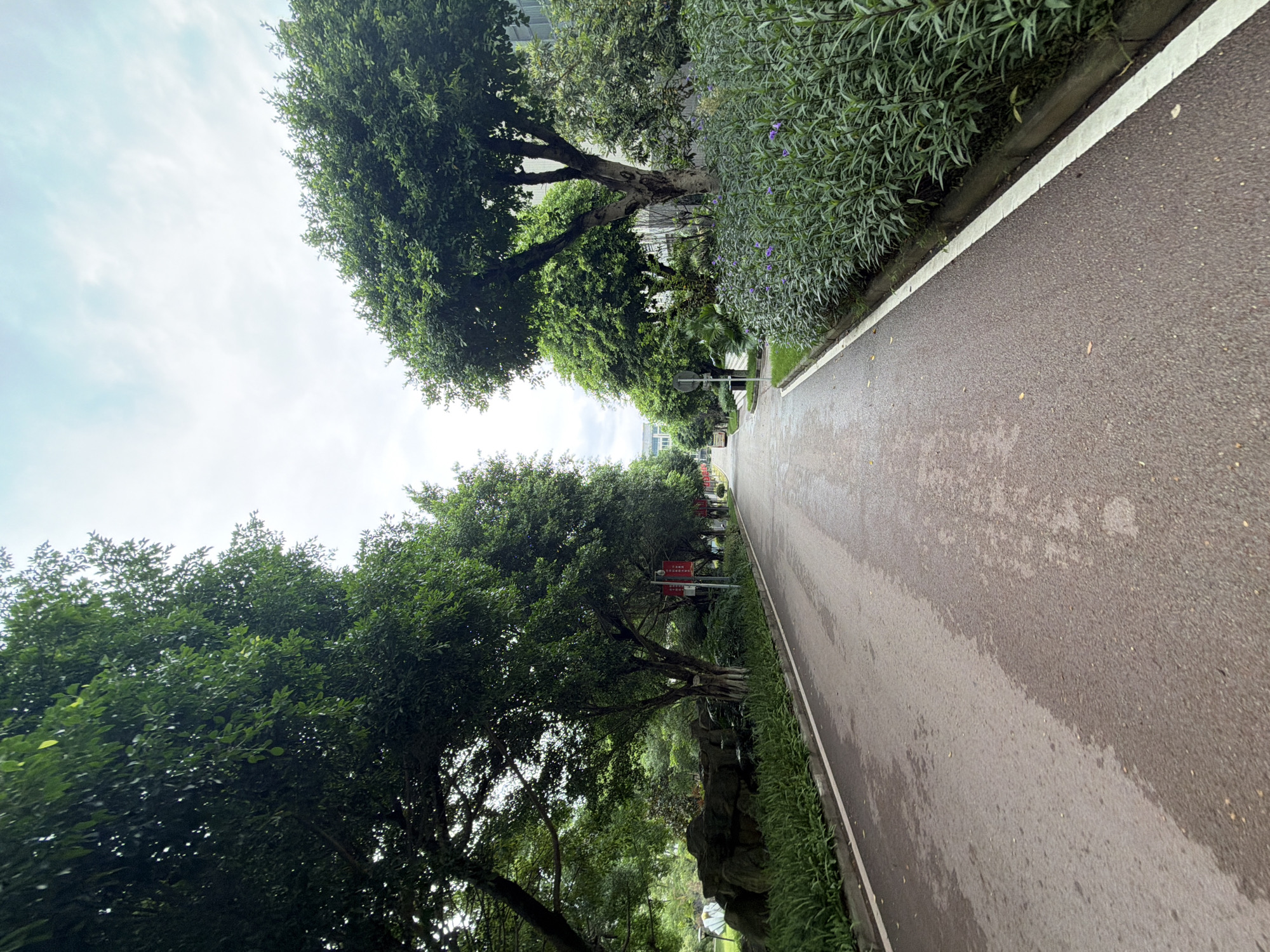 A straight, wet asphalt road stretches into the distance, lined by lush green trees on either side. On the left, a rock garden with small, weathered stones is visible, partially covered by green foliage. Further down the road, red banners hang from lampposts. On the right, a dense hedge of green bushes with small purple flowers borders the road, beyond which a modern building with glass windows stands. The sky is overcast with a light grey hue. The scene appears to be in a park or a campus environment within the city of Jiangjin, China. There are no people visible in the image.