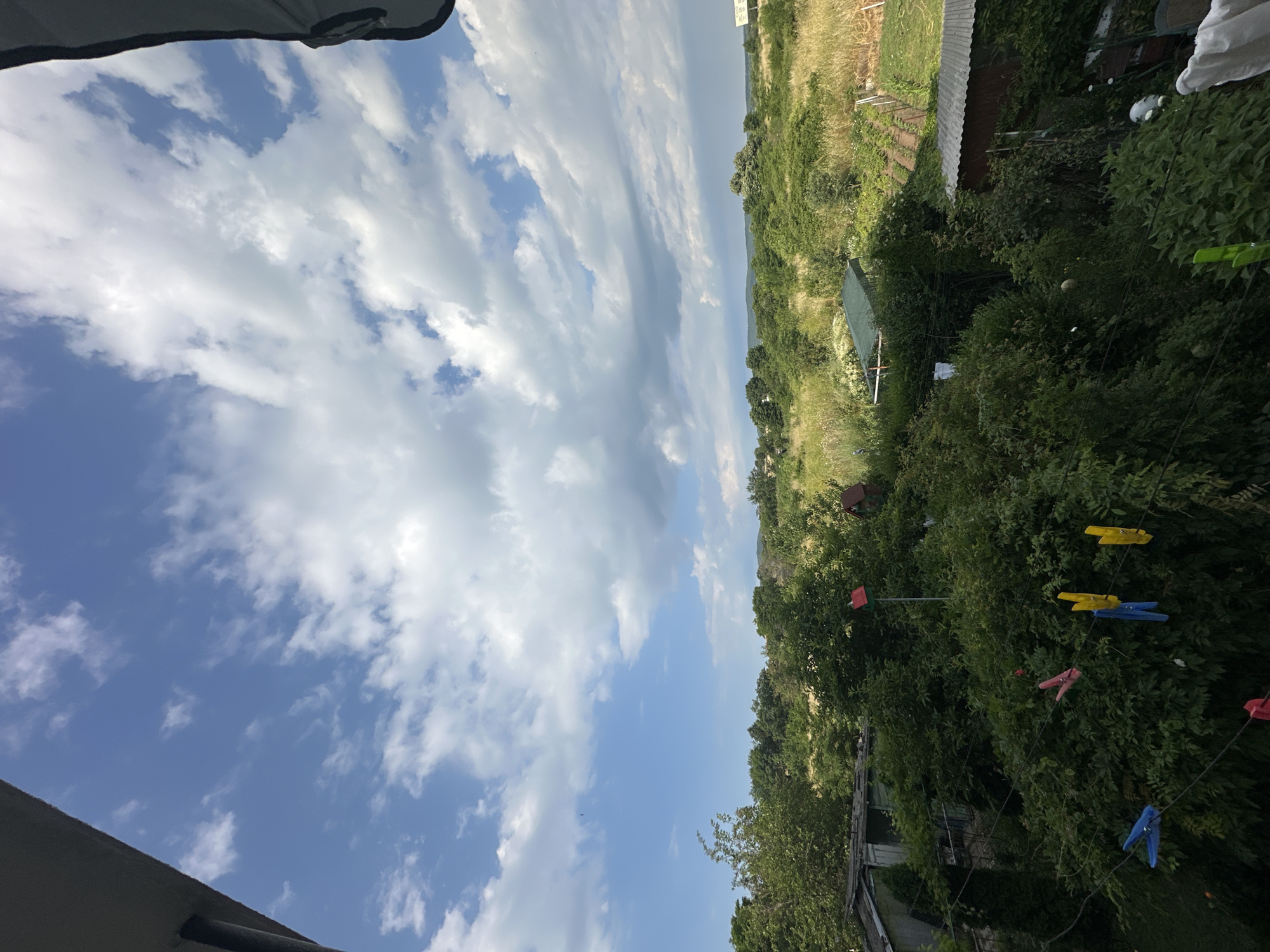 The image captures a view from a high vantage point, likely a balcony or rooftop, looking out over a semi-rural landscape under a partly cloudy sky. In the foreground, a dark, curved edge, possibly a railing or roof overhang, frames the top left and right corners of the image. Below this, a clothesline stretches horizontally across the scene, adorned with several brightly colored clothespins: two blue, three yellow, and two pink. These clothespins are attached to the line, with some appearing to hold unseen laundry.
The middle ground is dominated by lush green foliage, with dense trees and bushes forming a verdant canopy. Scattered within this greenery are glimpses of man-made structures. To the left, a small, weathered shed with a slanted roof is visible. In the center, a red birdhouse stands on a pole, and another, darker birdhouse is partially obscured by the trees.
Beyond the immediate vegetation, the landscape opens up to a field of tall, dry grass and what appears to be a cultivated garden with rows of plants. Further in the distance, rolling hills covered in trees form the horizon. The sky above is a bright blue, with large, fluffy white clouds scattered across it, some casting soft shadows on the landscape below.
The scene suggests a residential area bordering a more natural or agricultural environment. Given the context of Chernomorets, Bulgaria, this could be a view of backyards and surrounding countryside, typical of a smaller town or a suburban edge. The overall impression is one of a sunny day with domestic activities underway, such as laundry drying, set against a backdrop of natural beauty. There are no people visible in the frame.