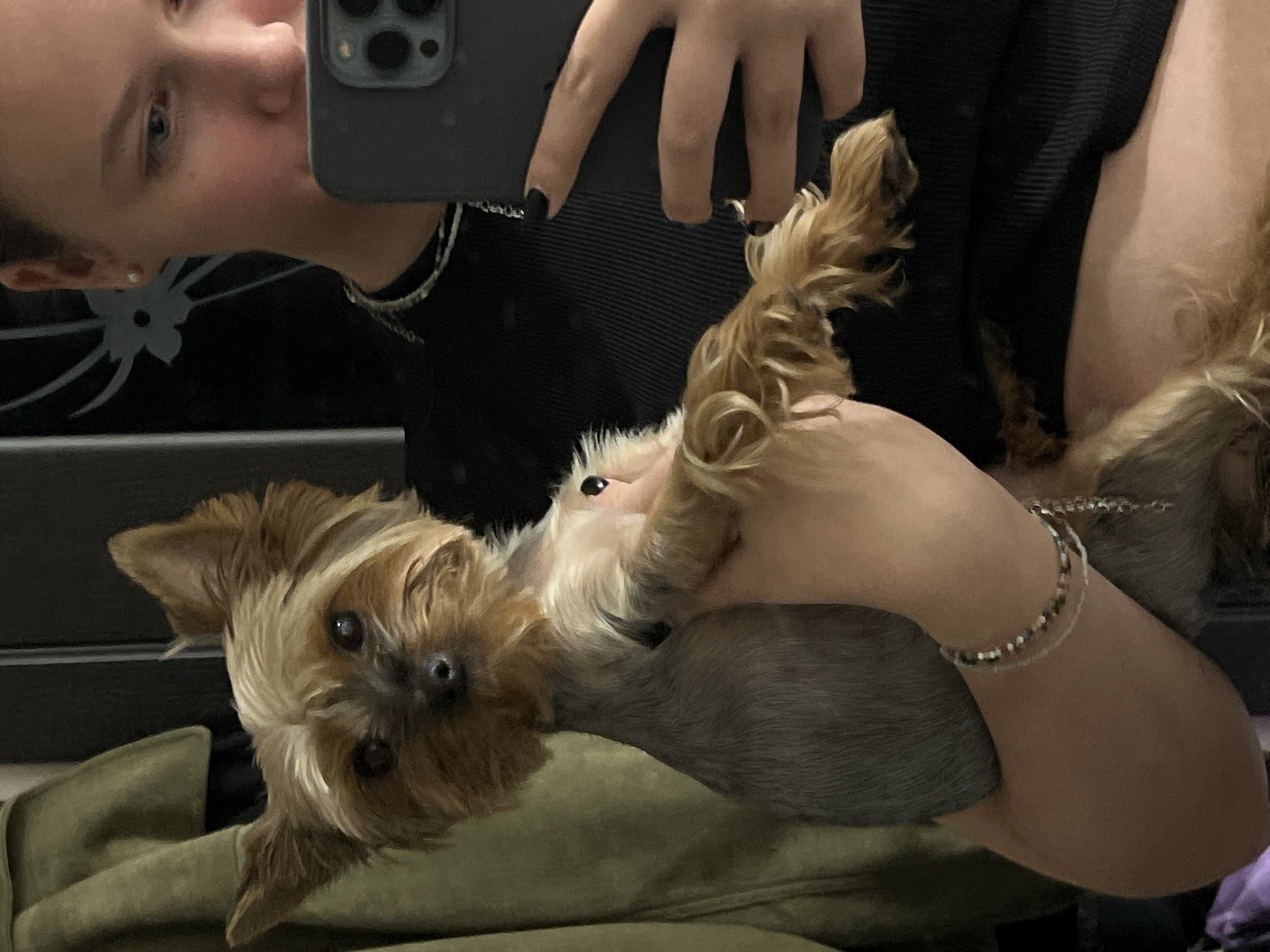 A young person, appearing to be female, is taking a selfie with a small brown and gray Yorkshire terrier dog. The person is holding the dog in their arms. The person is wearing a black shirt, a silver chain necklace, and multiple silver bracelets. They have a dark smartphone in their hand. The background is a mix of clothing and what appears to be a soft, olive-green colored surface, possibly a couch or bedding. There is no verifiable data to confirm the location in Chaikovsky, Russia or any other city.