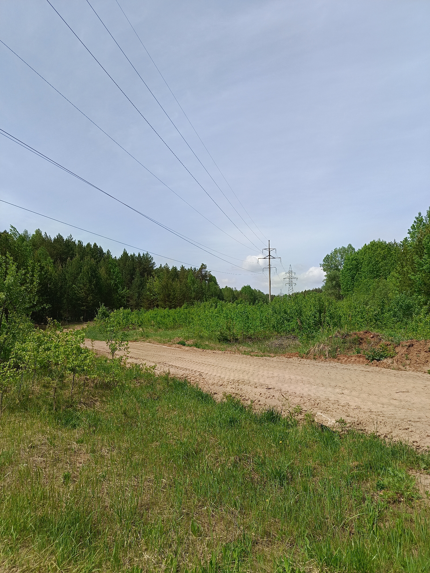 The image shows a sandy road or path running through a grassy area with trees on either side. Overhead, power lines stretch across the sky. In the distance, power line towers are visible. The sky is overcast. The location is possibly in a forested or rural area on the outskirts of a city in Russia, and more specifically, in the city of Chaikovsky. No people or animals are apparent.