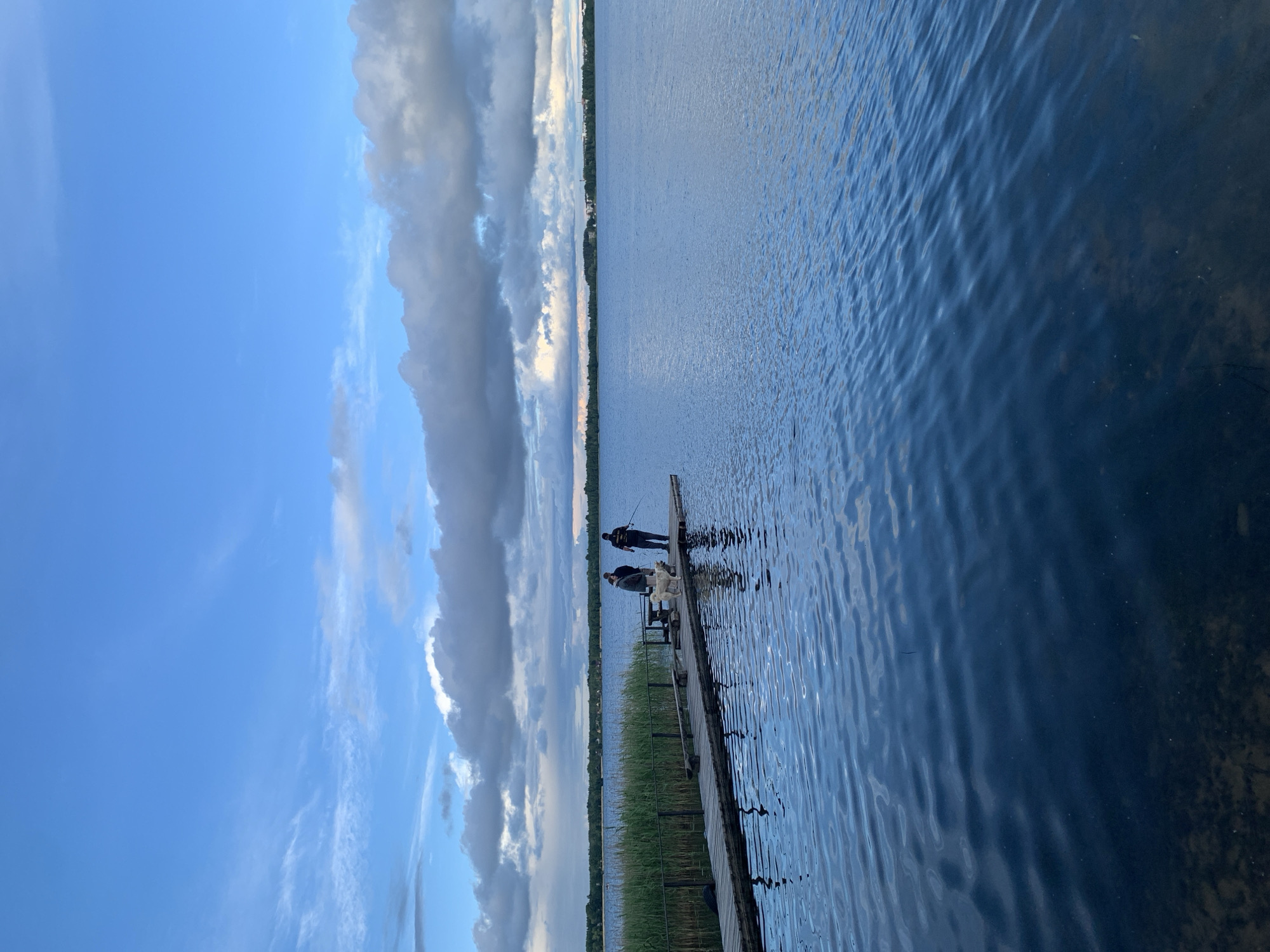 Three people and a dog stand on a wooden pier extending into a calm lake. The pier is lined with reeds on the left. The sky is a clear blue with scattered clouds. The background shows a distant tree line and buildings. The water is dark blue and rippled. The scene appears to be a recreational area in Braslaw, Belarus.