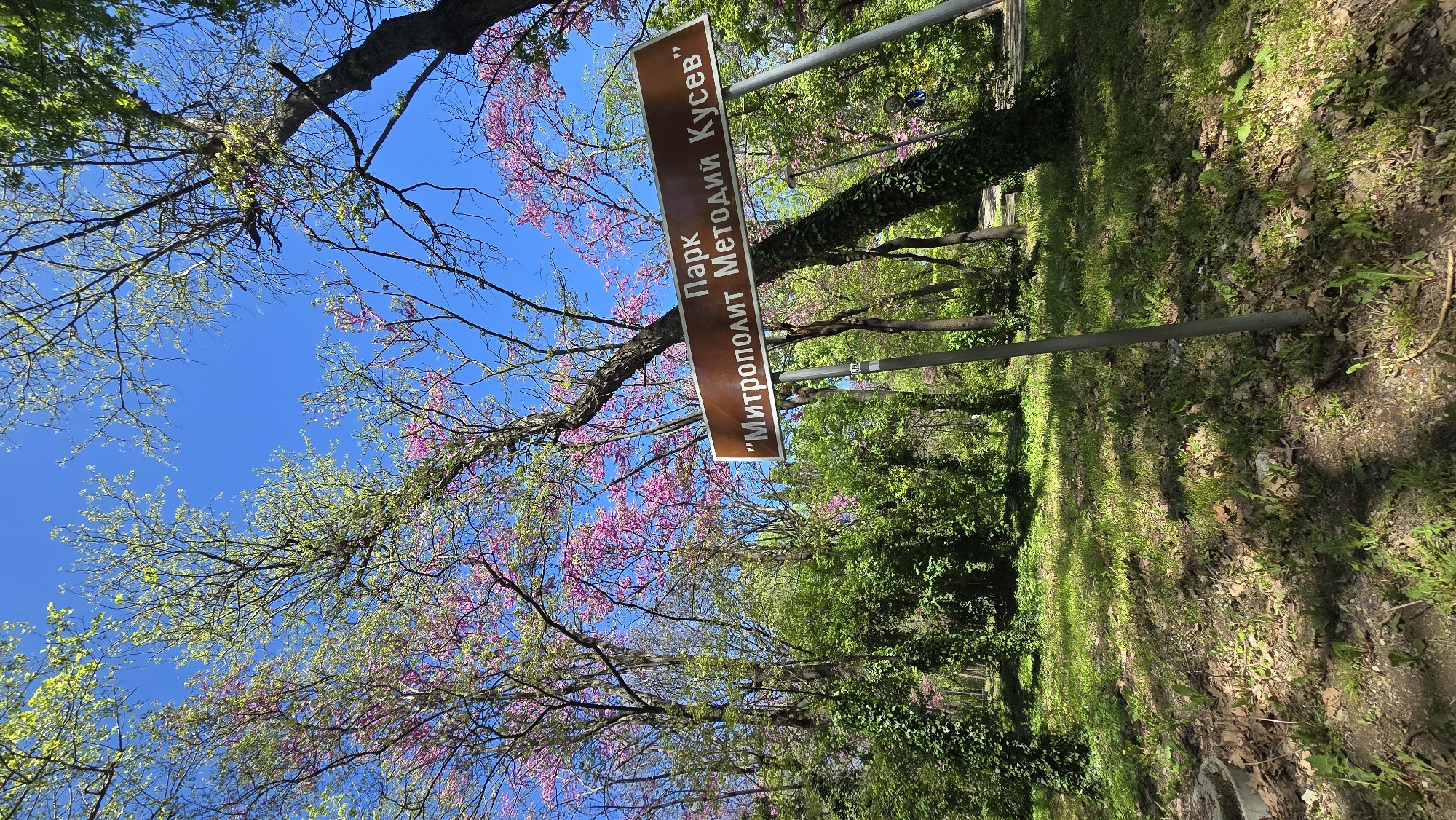 The image shows a park sign in Stara Zagora, Bulgaria, under a blue sky framed by trees. The sign reads "Парк ‘Митрополит Методий Кусев’", which translates to "Park Metropolitan Methodius Kusev." The sign is brown with white lettering and is mounted on two metal poles. Trees with pink blossoms and green leaves are visible in the background, providing a canopy. The ground is covered with grass and fallen leaves.