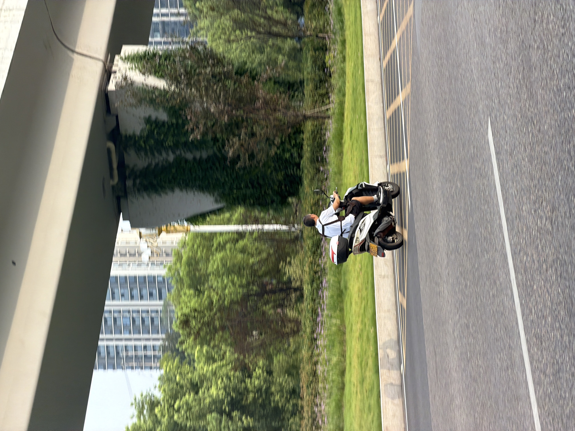 A person rides a white and black motor scooter down a paved road. The rider is wearing a white t-shirt and dark shorts. The scooter has a white cargo box on the back. The road is a divided highway with multiple lanes marked by white lines. In the background, there is a green grassy median with scattered trees and some flowering plants. Behind the median, tall apartment buildings are visible. The scene is under a large overpass. This image was taken in Jiangjin, China.