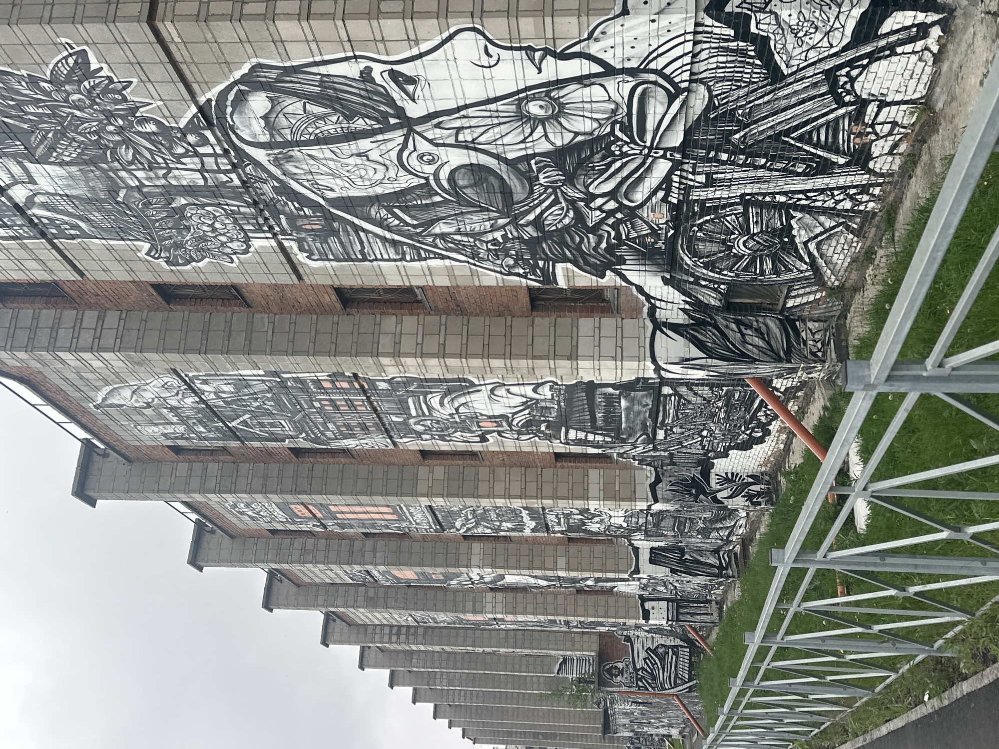 A long multi-story building is shown from an angled low vantage point. The building exterior features light-colored blocks with reddish-brown brick accents between the tiers of blocks. The entire side of the building is covered in an elaborate black and white graffiti-style mural with swirling lines and depictions of objects including flowers, wheels, and ornate designs. A metal fence runs along the base of the building, with grass and some vegetation visible between the fence and the building. The sky is overcast. This is the "Science Park" graffiti, located in Novosibirsk, Russia.