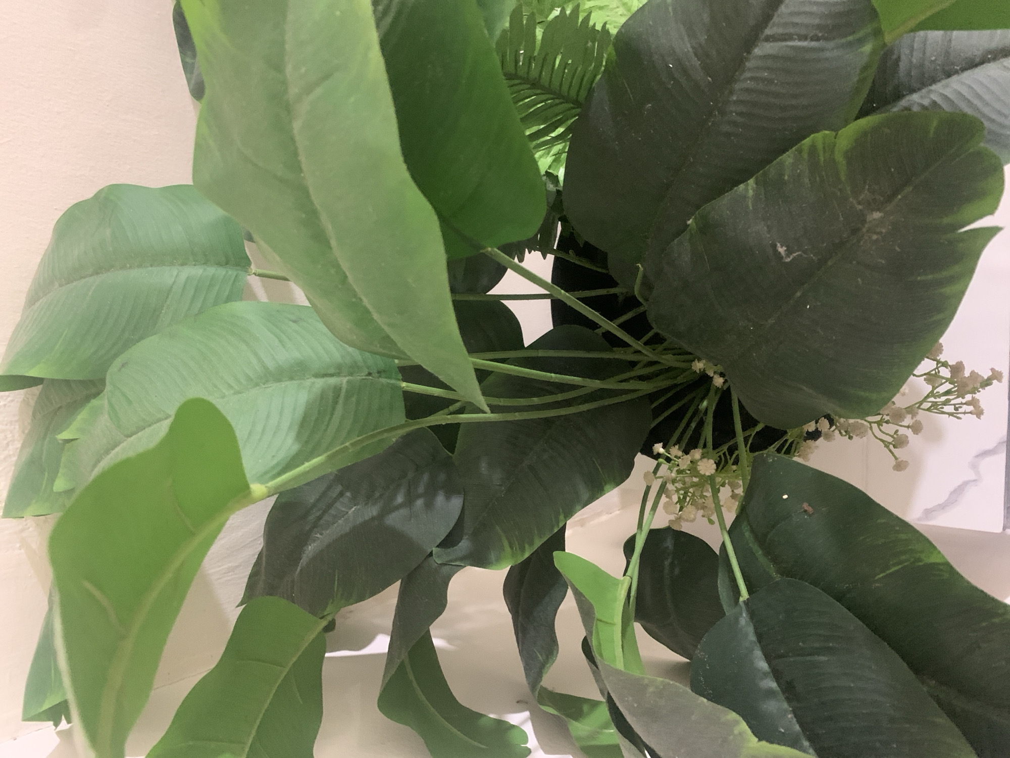 A close-up shot focuses on an arrangement of large, dark green artificial leaves with a lighter green leaf prominently in the foreground. The leaves are broad and ovular with visible vein details, and some appear slightly dusty. Interspersed among the foliage are small clusters of tiny white flowers. The background consists of a light-colored, textured wall and a white surface that might be a countertop or table. The lighting appears to be indoor, casting soft shadows. There are no people or any visible text in the image. The scene suggests an indoor decorative arrangement, likely a plant or floral display.