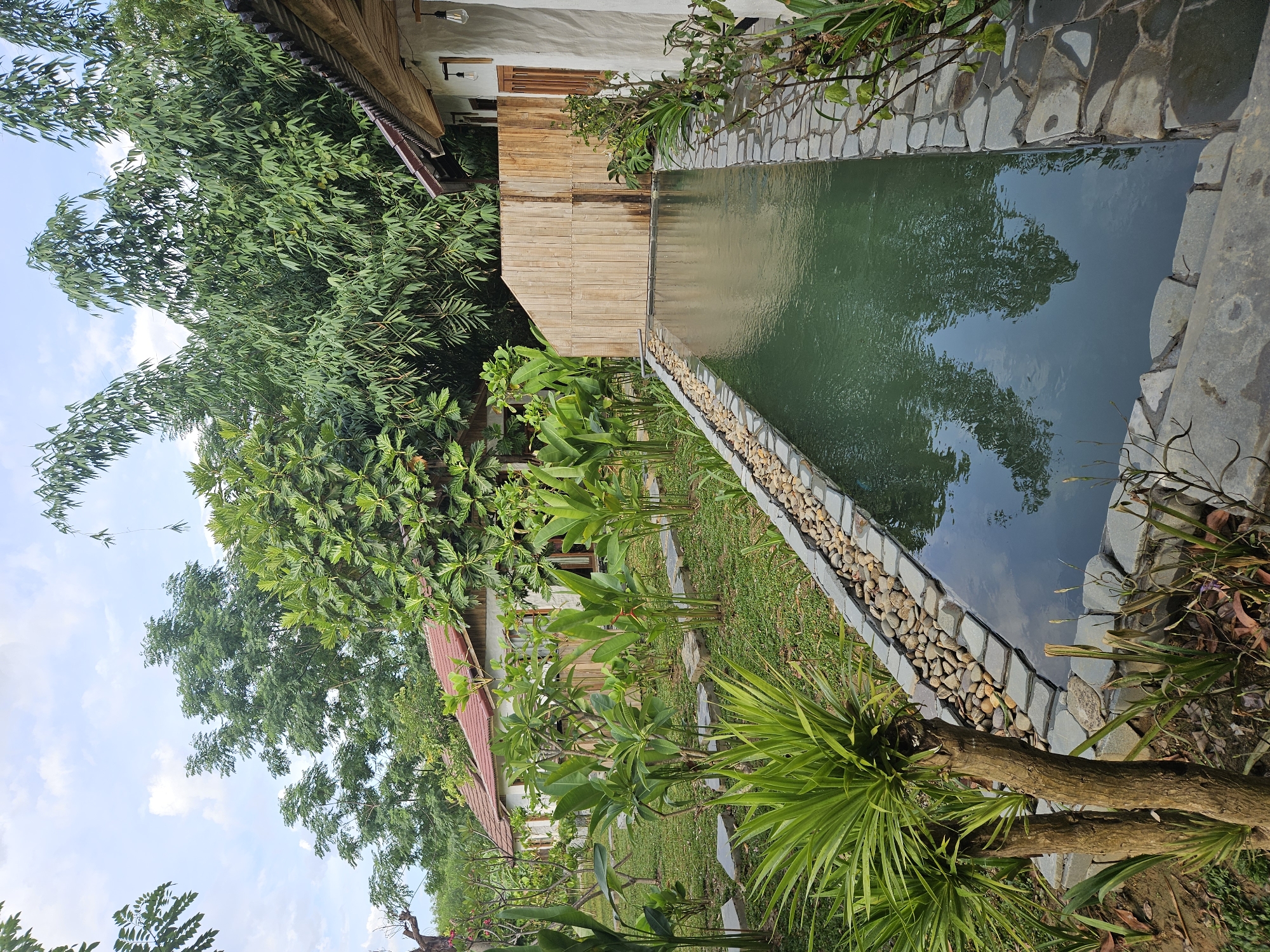 The image depicts a serene outdoor scene at a resort in Da Nang, Vietnam. A narrow, rectangular swimming pool with dark green water is bordered by a stone pathway and a gravel edge, lined with smooth, rounded river stones. The pool is surrounded by lush greenery, including tall, leafy plants and palm-like foliage. In the background, two small, single-story buildings with red tiled roofs and white stucco walls are visible, interspersed with more vegetation. A wooden fence separates the pool area from a dense bamboo forest. The sky above is partly cloudy with scattered white clouds against a pale blue backdrop. The overall impression is one of tranquility and natural beauty, characteristic of a tropical retreat.