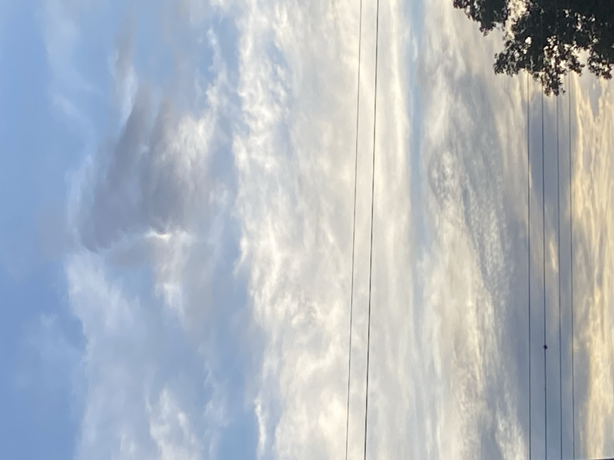 The image depicts a daytime view of the sky, possibly in Tinaquillo, Venezuela. Cirrus clouds are prevalent across the frame, with variations in density and shading from light to dark grey. Electrical power lines traverse the scene vertically. The upper right corner reveals a portion of tree foliage.