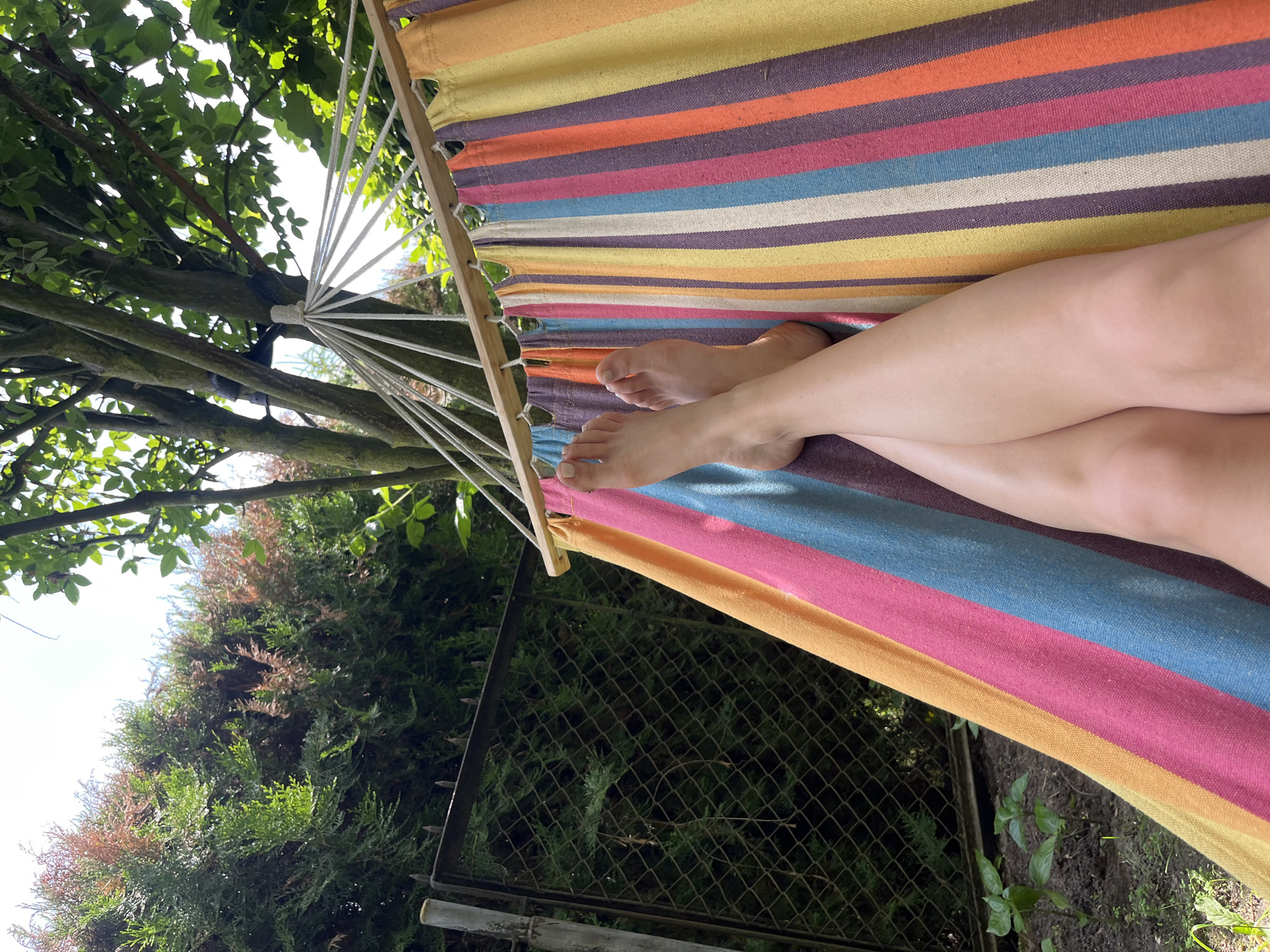 In Krakow, Poland, a person's bare legs and feet are visible, resting on a colorful striped hammock suspended between two trees. The hammock's fabric displays a vibrant pattern of orange, pink, blue, white, yellow, and purple stripes. The background features lush green foliage, including trees and a dense evergreen hedge, along with a section of a dark metal fence. Sunlight filters through the leaves, creating a dappled effect on the scene. The person appears to be relaxing outdoors in what seems to be a garden or yard.