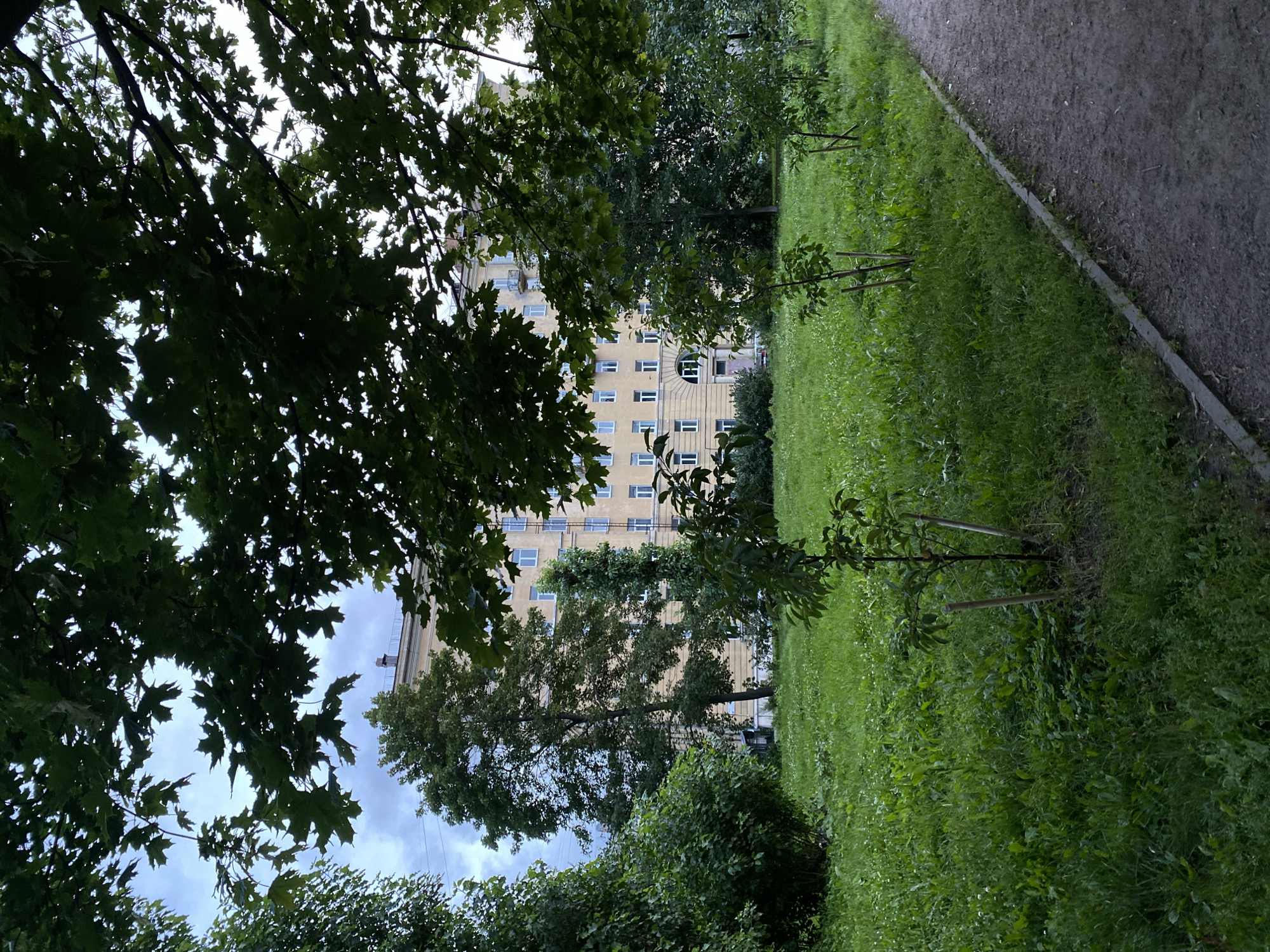 The image depicts a park-like area in front of a multi-story residential building. The building is light yellow with numerous windows and appears to be of Soviet-era architecture. There is a pathway to the right, a large expanse of green grass, and several young trees with stakes supporting them scattered across the lawn. Dense foliage from mature trees frames the top and left side of the image, obscuring a portion of the sky, which appears cloudy. The overall impression is of a residential courtyard in Saint Petersburg, Russia, likely on an overcast day during the warmer months. There are no people visible in the frame, and no specific actions or interactions are taking place. The scene is static and focuses on the environment and the building.