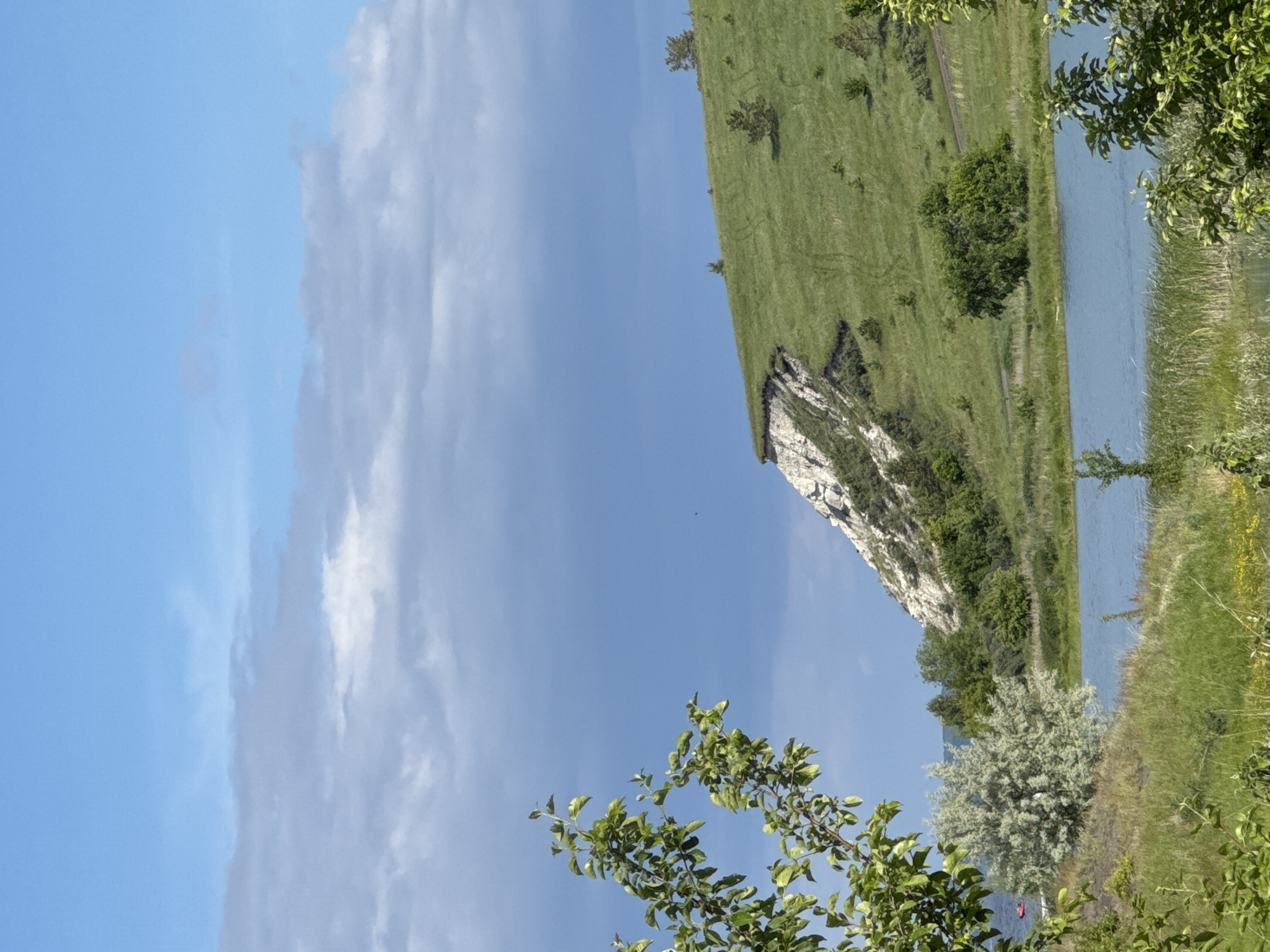 The image displays a natural landscape in the city of Unknown, Unknown, featuring a body of water, a grassy hill with a rocky outcrop, and a partly cloudy sky. The upper portion of the sky is clear blue, transitioning to a lighter blue mid-section with scattered grey and white stratocumulus clouds. In the foreground, a vibrant green leafy branch is prominent in the upper left. Below this, a large, light green, silvery-foliage bush stands near the edge of a calm, light blue body of water that spans the mid-ground. Reeds and green grasses line the immediate bank of the water. A small, indistinct red boat is visible on the water's surface in the far left. The right side of the image is dominated by a steep, lush green hill. A significant white, exposed rock face or cliff forms the lower left portion of this hill. Scattered small, dark green trees and faint, winding tracks are present on the grassy slope. No individuals are visible.