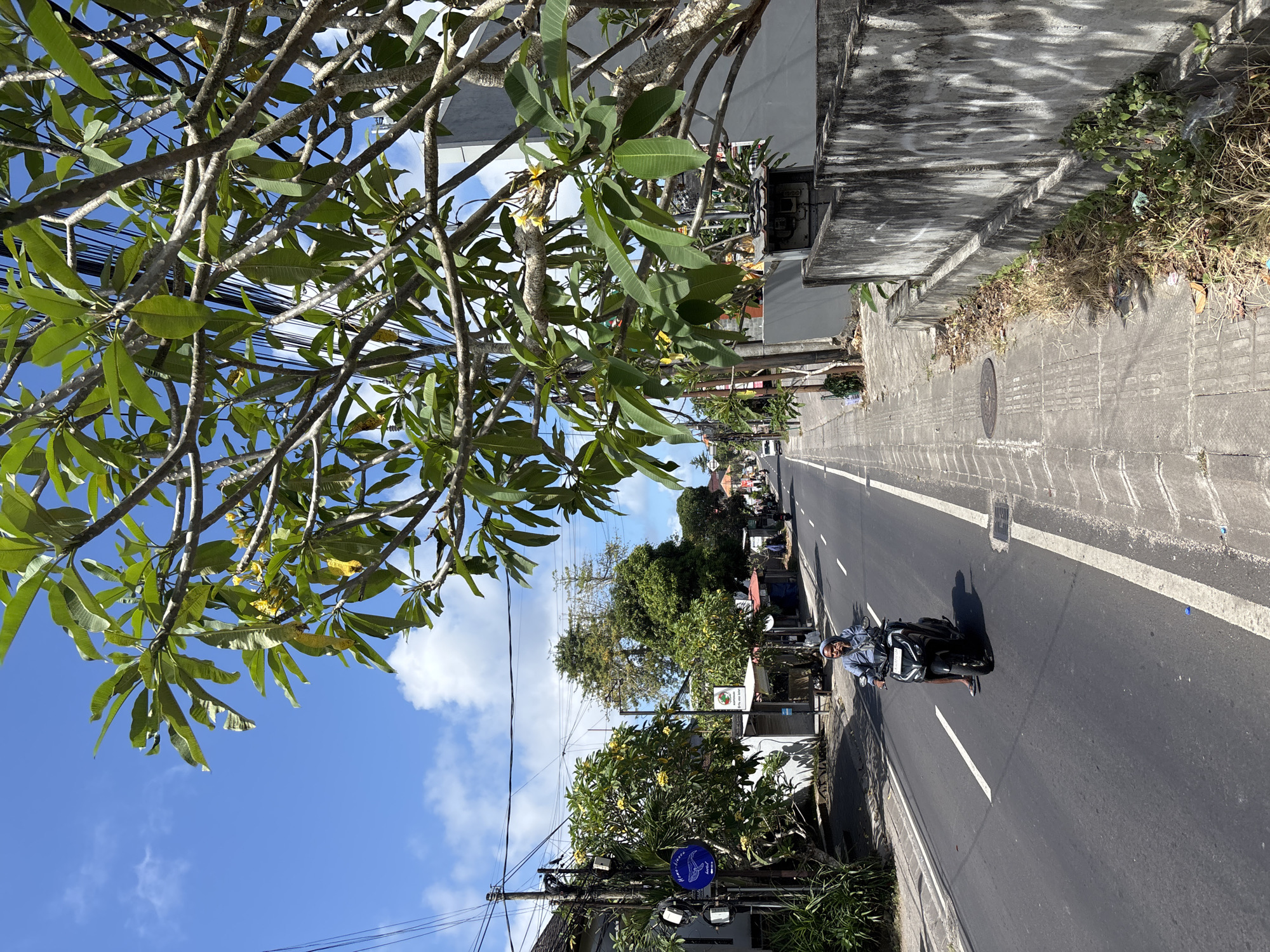 The image depicts a street scene in Kuta Selatan, Indonesia. A male figure is riding a dark-colored scooter on a paved road with a white center line. The road is flanked by a concrete sidewalk and a wall on one side, and by buildings and vegetation on the other. A tree with broad green leaves and bare branches hangs over the left side of the frame. The sky is partly cloudy, with blue visible between the clouds. Utility lines are visible above the street and trees. The lighting suggests a sunny day.