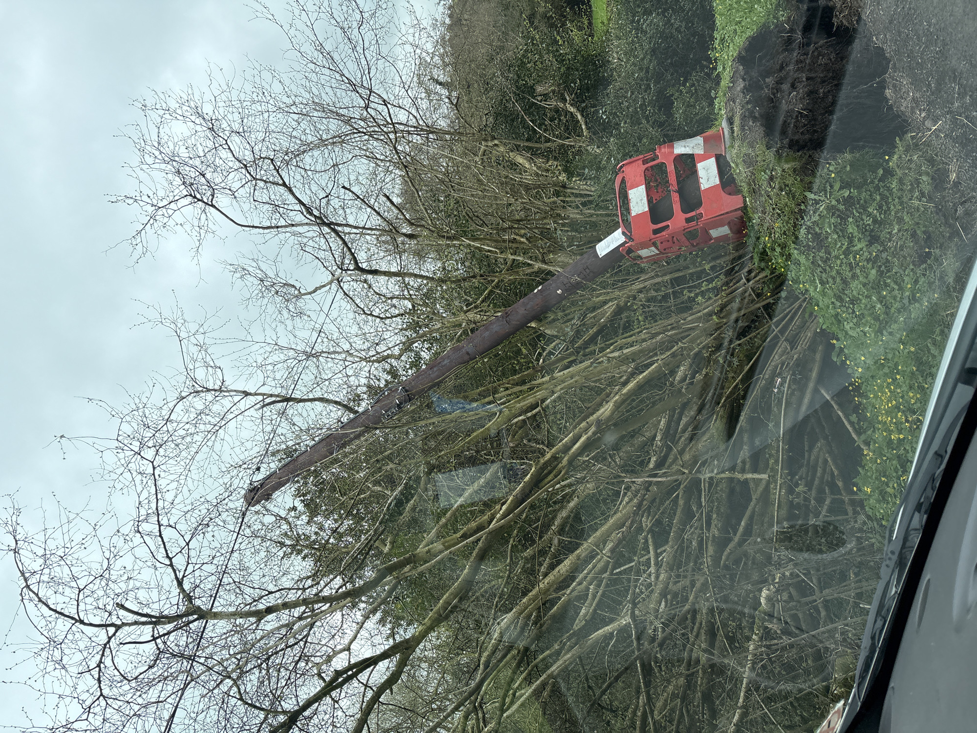 The scene depicts a damaged utility pole in a rural area, presumably near Pulverbatch, United Kingdom, based on the query. The pole is visibly cracked and leaning, with a red and white safety barrier affixed to its top. It is surrounded by bare trees and foliage. The photograph appears to have been taken from inside a vehicle, with a portion of the car's interior visible. The sky is overcast. The overall impression is one of a fallen utility pole after a storm.