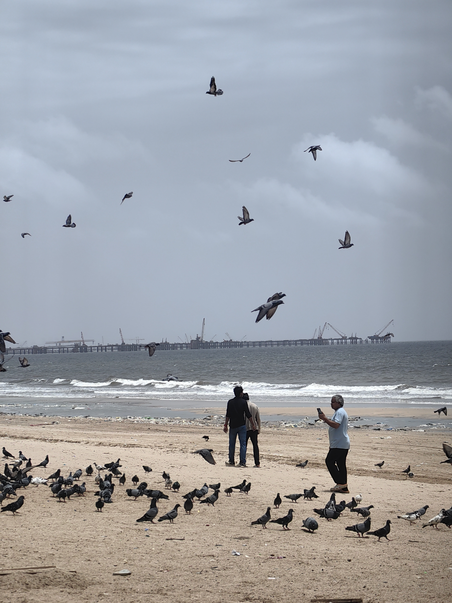 A flock of pigeons are gathered on a sandy beach in Mumbai, India, with a man taking a picture of them with his phone. The sea is in the background with a pier and industrial structures visible. The sky is overcast with some clouds. The beach appears to have some litter on it.
