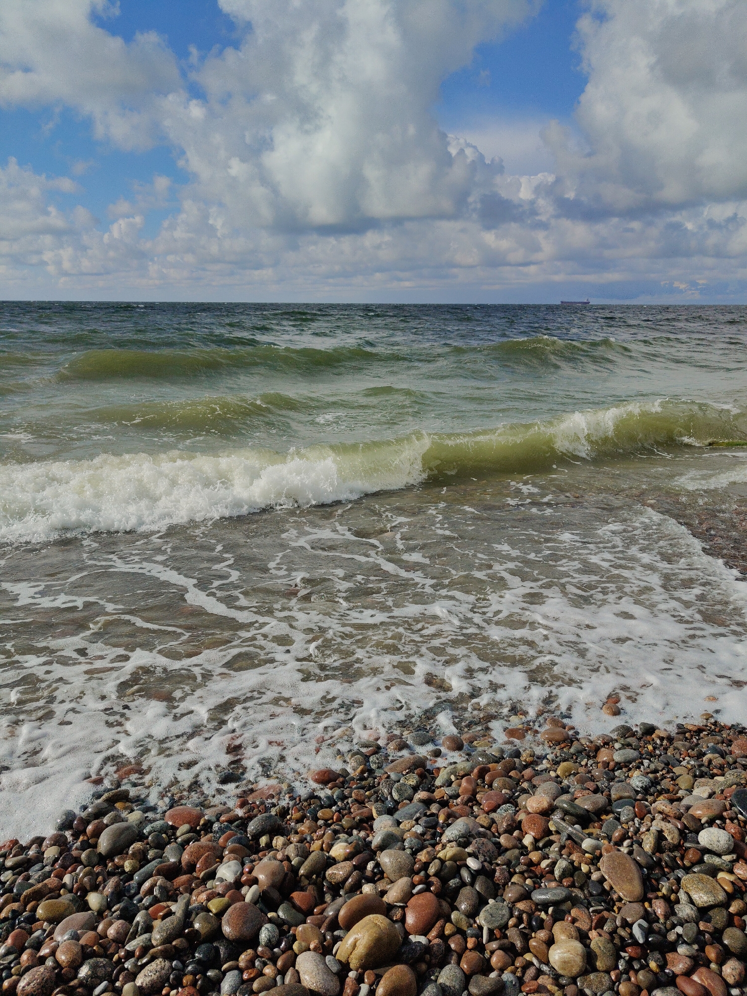 An eye-level, vertical, medium shot captures a pebble beach meeting the sea under a partly cloudy sky. The foreground is dominated by a dense collection of smooth, rounded pebbles of various sizes and colors, ranging from dark grey and brown to reddish and tan. White seafoam washes over the pebbles at the edge of the water. The sea itself is a murky, greenish-blue with moderate waves, the crests of which are breaking into white foam. The horizon line is visible, separating the sea from a sky filled with large, fluffy white clouds against a backdrop of bright blue. In the far distance, a dark, low silhouette of a cargo ship is visible on the horizon. The scene is natural and coastal, likely depicting a location in Pionersky, Russia, known for its beaches. No people or specific actions are visible.