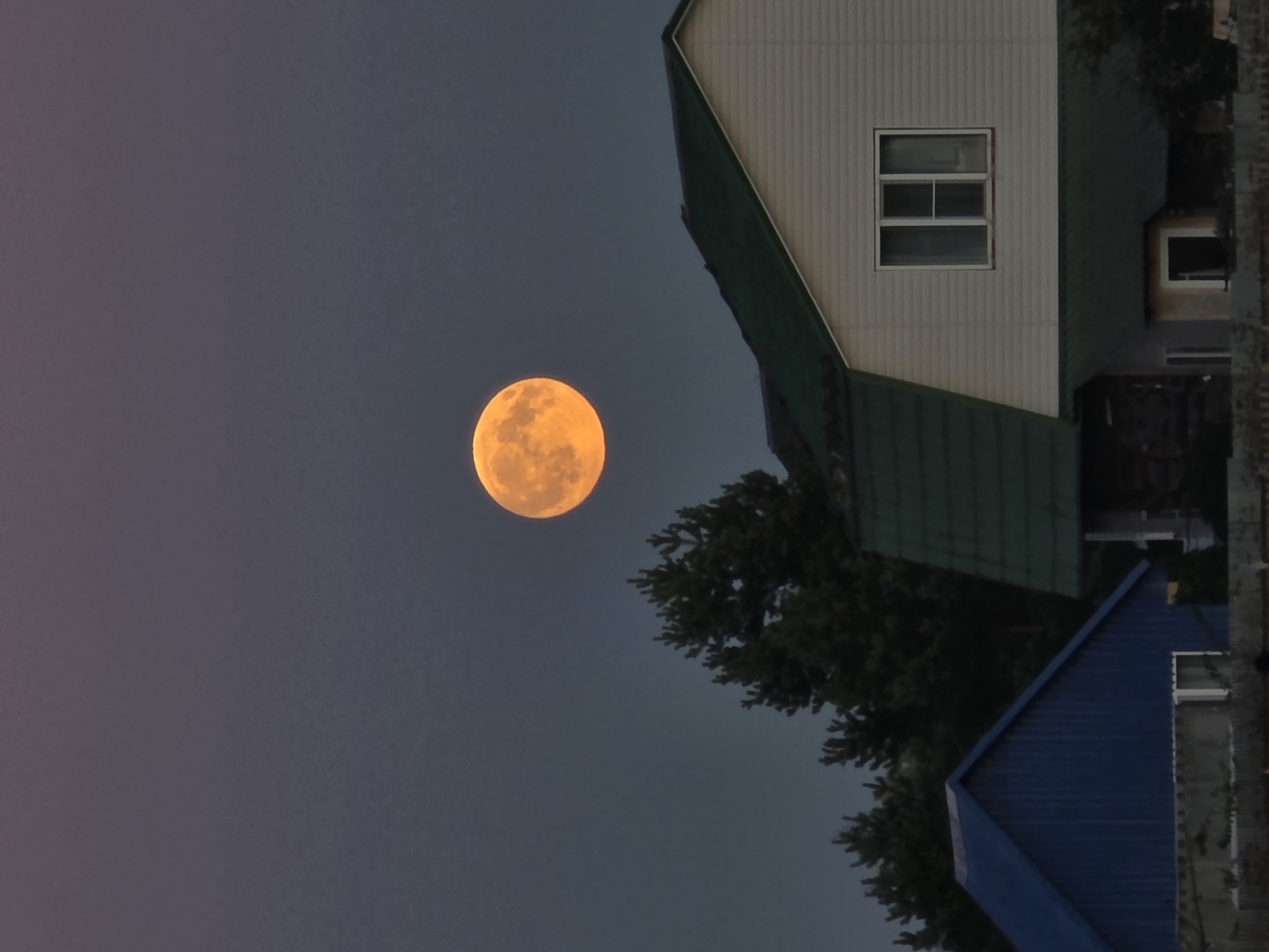 An orange moon is visible in the twilight sky above a residential area in Rechitsy, Russia. The moon is centrally located in the upper half of the frame. In the foreground, the roofs of several houses are visible, including a house with a light-colored siding and a dark green roof, and a blue-colored structure with a dark blue roof. Trees are visible behind the houses, some of which appear to be pine trees. A faint fence runs along the bottom of the image.