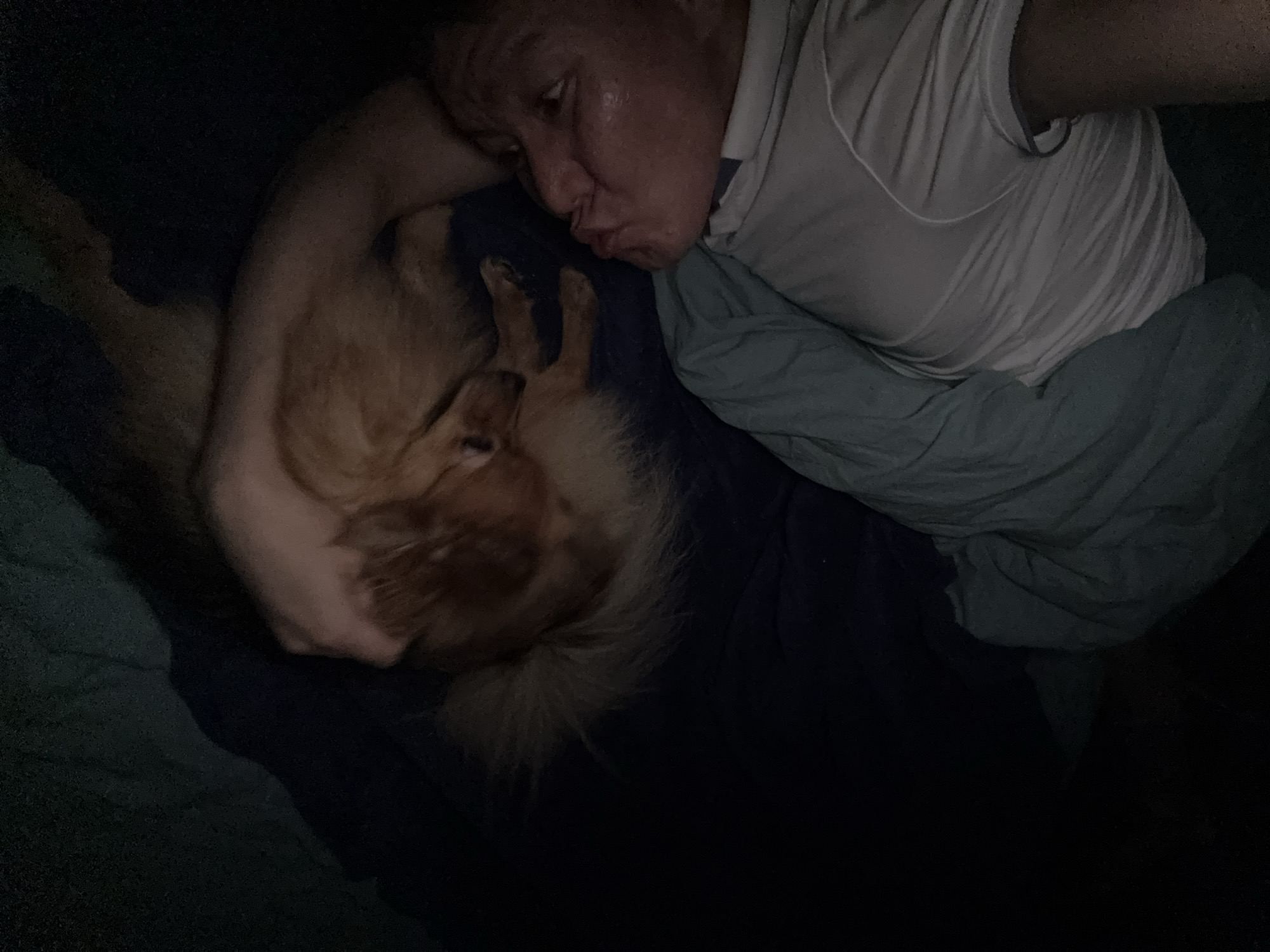 A person is lying in bed with a small dog. The person is on their side, facing the dog, and appears to be kissing it. The dog is lying on its back, nestled in the person's arm. Both are under a blue blanket.
There is no information that would allow a determination of location.