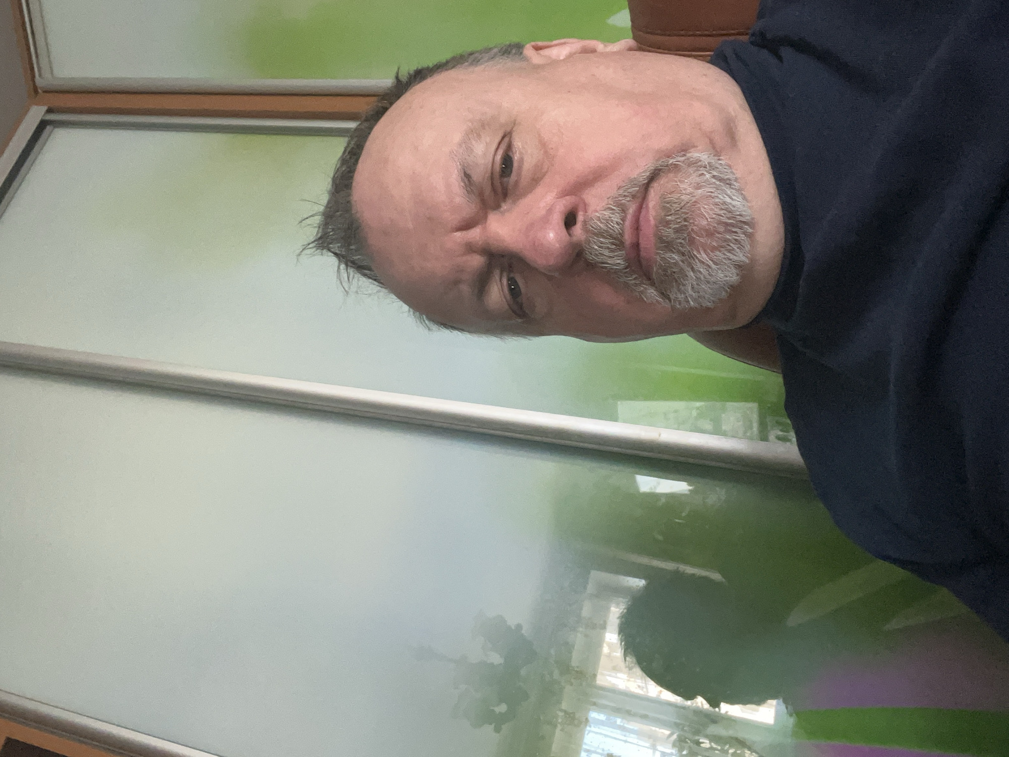 An indoor portrait displays a male individual, aged approximately 50-70, with grey, spiky hair and a grey goatee beard, wearing a dark turtleneck shirt. He is seated in a brown armchair, visible partially on the right. His gaze is directed forward towards the camera, with a neutral facial expression. The background consists of two large, vertically framed panels, likely part of a sliding wardrobe system. The left panel, appearing to be frosted glass, reflects a chandelier, a bright window, and a distinct dark silhouette of a human head and upper torso. The right panel exhibits a vibrant green color behind its surface, with a narrow brown frame visible on its left edge. This scene is located in the city of Podolsk, Russia.