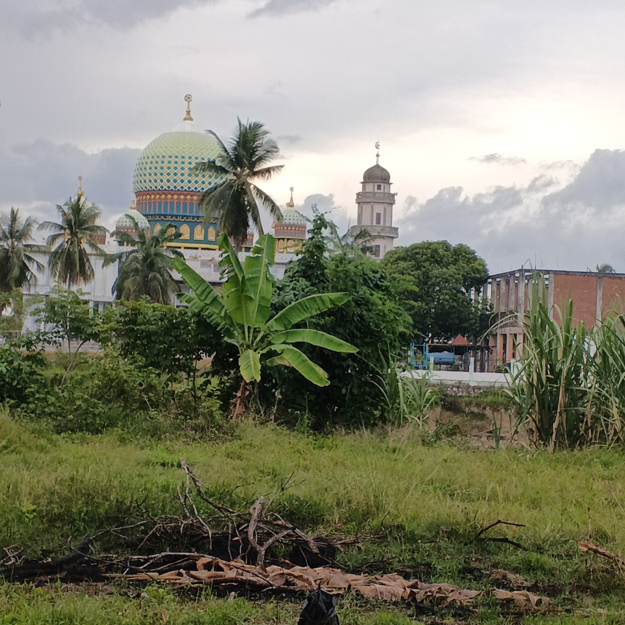In the city of Geunteng, Indonesia, a mosque with multiple domes and a tall minaret stands amidst lush greenery. The main dome of the mosque is a vibrant green with a complex, patterned surface, topped with a crescent moon finial. Adjacent to it, smaller domes and a slender minaret with a similar finial punctuate the skyline. Palm trees and banana plants are prominent in the foreground, with their fronds reaching towards the sky. In the background, a partially constructed building with exposed brick and concrete columns is visible, along with tall reeds or sugarcane. The ground in the immediate foreground is covered in grass, with scattered branches and some dry, brown material, possibly leaves or debris. The sky is overcast with heavy clouds, suggesting a diffused light.