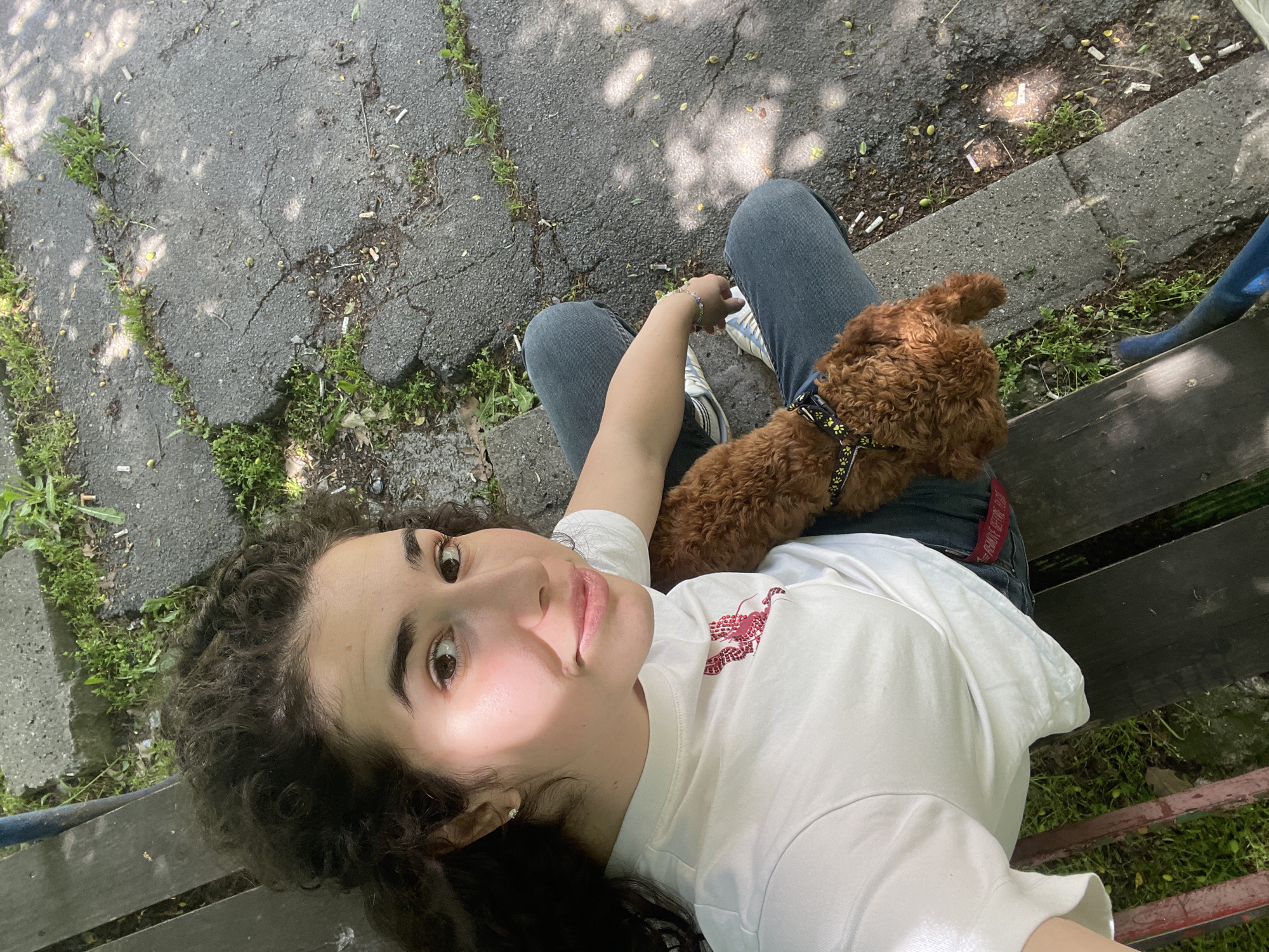 A young woman with curly dark hair lies on a park bench, a small brown poodle nestled on her lap. She wears a white t-shirt and blue jeans, and her face is illuminated by sunlight. The bench is made of wood and painted in a faded red and green. The background shows a cracked asphalt pathway with weeds growing in the cracks. There are also cigarette butts scattered on the ground. The scene appears to be a park in Sofia, Bulgaria.
