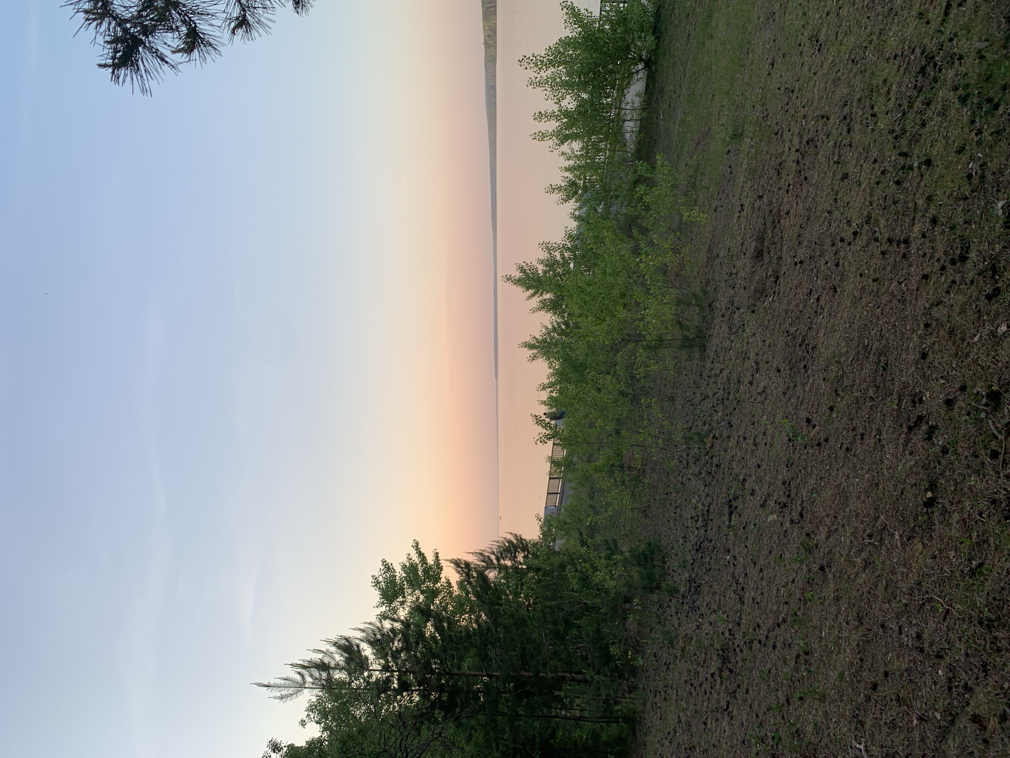 The image shows a tranquil scene at sunset over a body of water, possibly the Kama River, as Chaikovsky is located on its banks in Russia. A tree branch partially obscures the upper left corner, while trees and low-lying vegetation line the shore on the right side of the frame. The ground appears to be covered with fallen pine needles and dry grass. The sky exhibits a gradient of colors, transitioning from light blue to pale orange near the horizon, reflecting in the calm water. A dock or pier can be discerned in the distance. There are no visible people in the frame, and the atmosphere conveys a sense of stillness and peace.