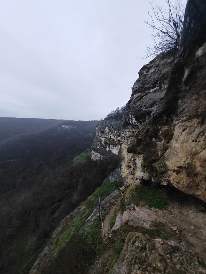 The image depicts a panoramic view from a cliff edge overlooking a forested valley under an overcast sky, consistent with the Shumen Plateau near Shumen, Bulgaria. In the immediate right foreground, a rugged rock cliff face dominates, characterized by layers of grey and beige stone, partially covered in green moss and sparse vegetation. A narrow, unpaved dirt path, with patches of green grass, traces the contour of the cliff edge. A single thin, dark pole is partially visible vertically embedded near the path. To the left, a deep valley stretches into the distance, densely populated with dark, seemingly deciduous trees lacking foliage, suggesting a colder season. Patches of vibrant green vegetation are visible on some slopes within the valley. Another section of a layered rock cliff face is visible across the valley, on which a small, multi-rung, metal ladder-like structure is affixed. The background consists of a distant, dark horizon line and a uniformly grey, overcast sky. No individuals or active subjects are present. The lighting is dull and diffused.
