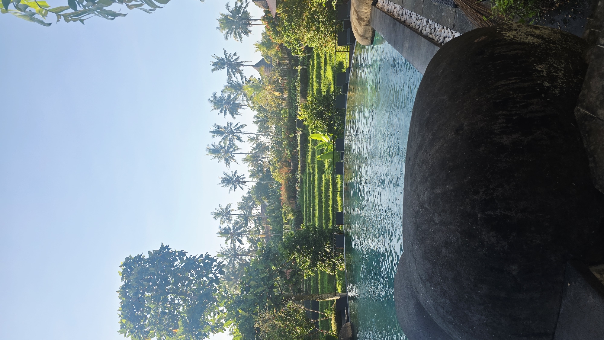 The image shows a serene landscape in the Ubud District of Indonesia. In the foreground, a dark, weathered stone structure sits adjacent to a pool of clear, turquoise water. Beyond the pool, terraced rice paddies stretch into the distance, vibrant green stripes ascending gently. Palm trees punctuate the scene, their silhouettes against the clear, blue sky. Lush vegetation surrounds the paddies, adding to the tropical feel of the environment. There are no people visible in the image. The overall impression is one of tranquility and natural beauty.