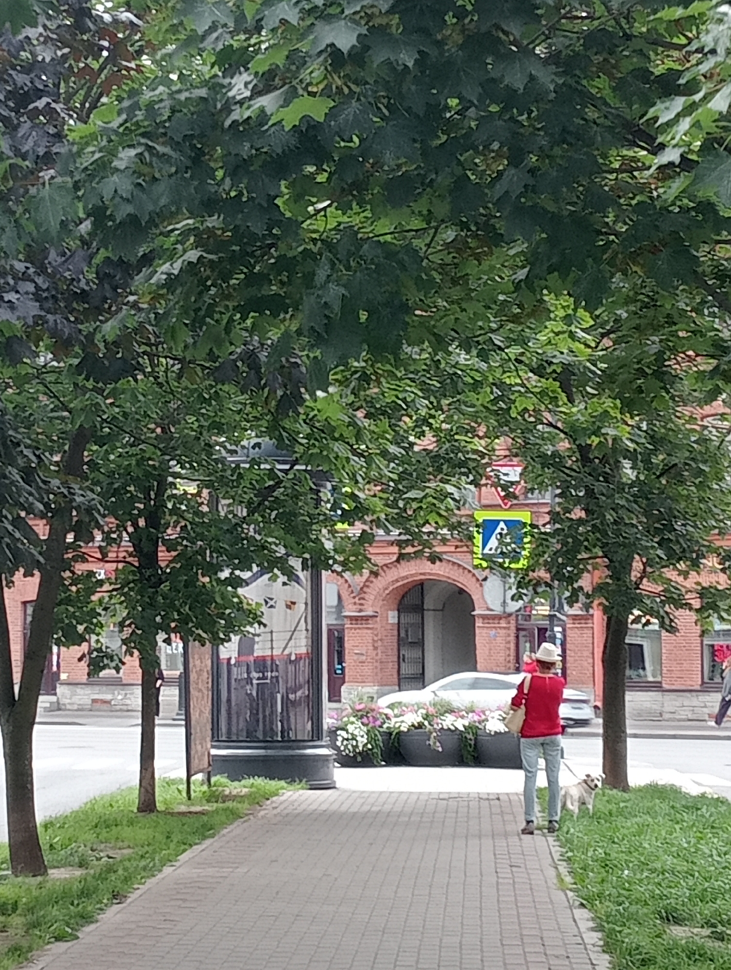 In a pedestrian view of a city street in Saint Petersburg, Russia, a person wearing a red shirt and light-colored jeans, topped with a white hat, walks a light-colored dog on a leash along a paved sidewalk. They are positioned near the right side of the frame, facing away from the camera. The sidewalk is bordered by a strip of green grass on the right, and on the left, by trees with dense green foliage. Behind the trees, a building with a red brick facade and arched entrances is visible. Further down the street, a white car is parked, and a planter box filled with flowers sits in front of the building. Traffic signals and street signs are also present. The overall atmosphere suggests a pleasant, possibly overcast day in an urban environment.