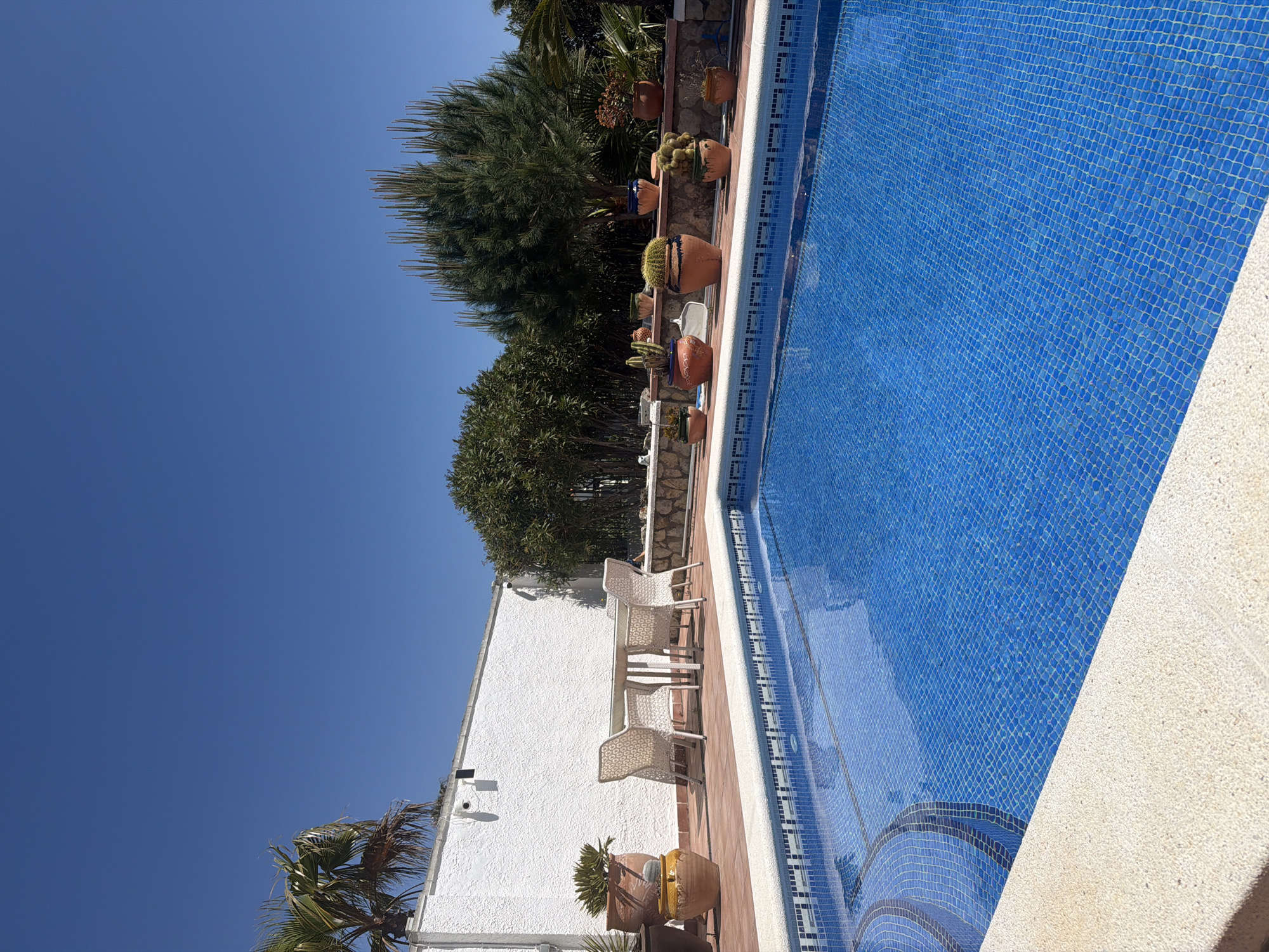 The image captures a sunny outdoor scene featuring a swimming pool, a patio area, and lush Mediterranean vegetation under a clear blue sky in Mont-roig del Camp, Spain.
In the foreground, a vibrant blue swimming pool with mosaic tiles occupies the right side of the frame. The pool features visible steps leading into the water, also tiled in blue, and is edged with a light-colored, possibly stone or concrete coping. The water appears clean and reflects the bright sky.
Adjacent to the pool, on the left, is a patio area paved with reddish-brown tiles. A white, textured building or wall forms the background of this section. On the patio, a small white outdoor table is set with four matching white chairs, which have intricate, openwork designs. Several potted plants, including succulents and cacti in various terracotta and ceramic pots, are placed on the patio and along the base of the white wall.
Behind the pool and further into the background, a stone wall is adorned with more potted plants, predominantly cacti of different shapes and sizes. Behind this wall, dense green foliage from various trees and shrubs, including some pine-like trees and other bushy plants, creates a natural backdrop. On the far left, parts of palm fronds are visible, adding to the Mediterranean atmosphere.
The sky is a brilliant, cloudless blue, indicating clear weather. The strong sunlight casts distinct shadows, suggesting it is midday or early afternoon. No people or animals are present in the scene, conveying a peaceful and unoccupied setting. There is no visible text in the image.