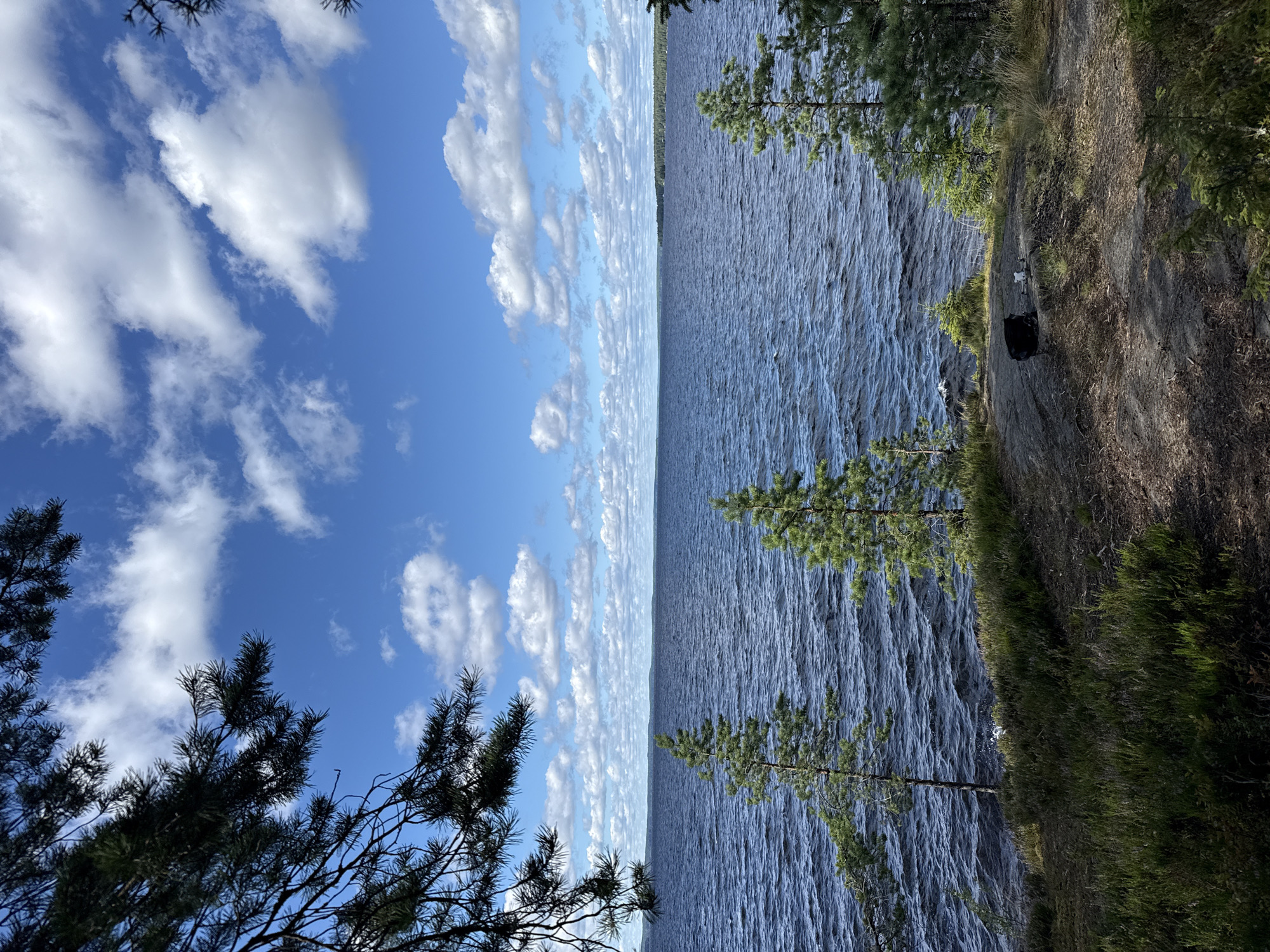 The image depicts a scenic view of a large body of water, likely a lake, under a bright blue sky dotted with fluffy white clouds. The water's surface is rippled, suggesting a gentle breeze. Along the shoreline, there is a rocky area with sparse vegetation, including small evergreen trees and grasses. In the foreground, branches of a larger evergreen tree frame the top left portion of the image. On the rocky ground near the water's edge, there are a few scattered objects, including what appears to be a black backpack and a white drone. The overall impression is one of a natural, tranquil outdoor setting, possibly a park or a wilderness area. While the prompt mentions Tampere, Finland, the image itself does not contain any specific landmarks or indicators to confirm this location.